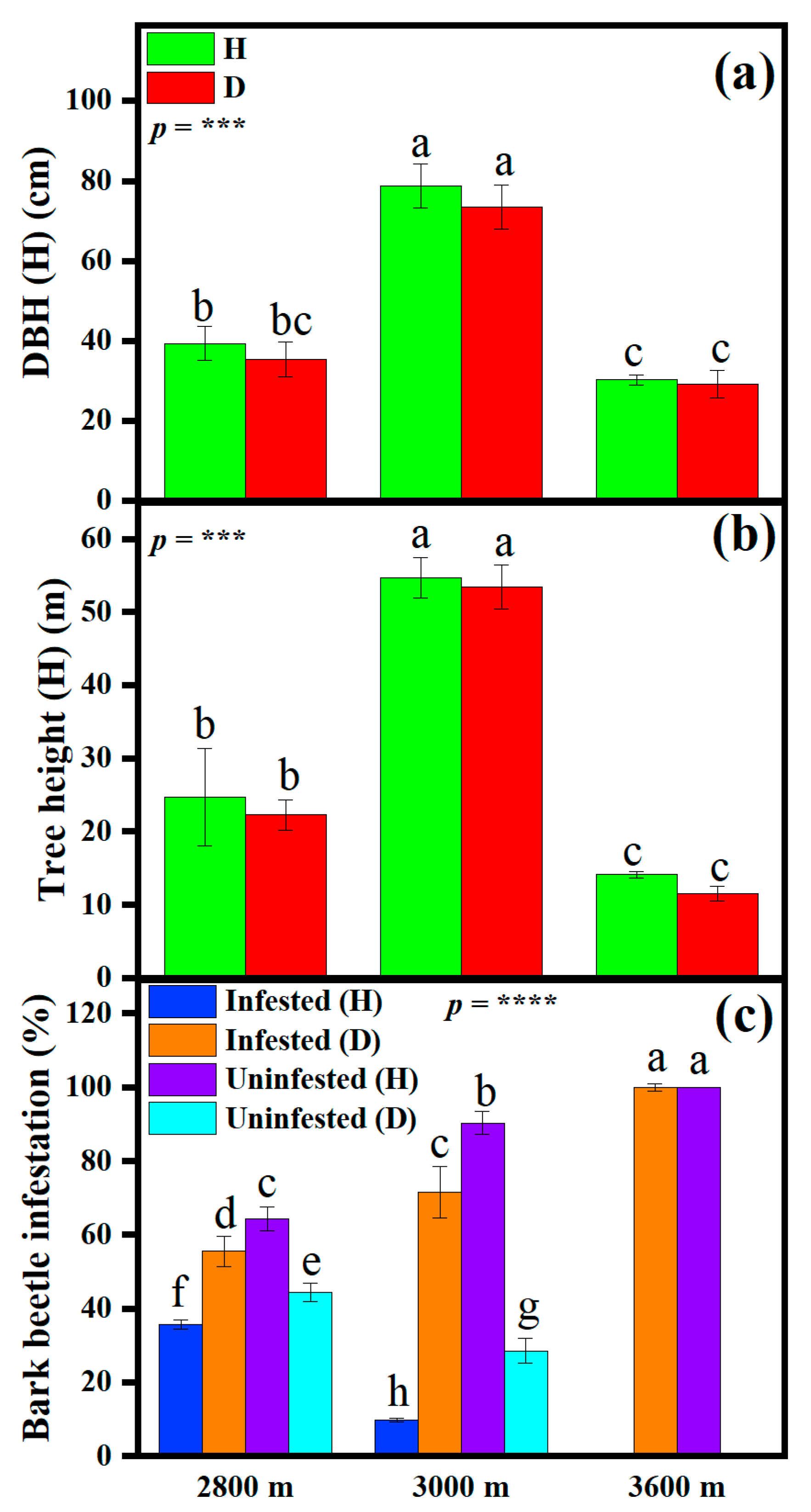 Forests 16 01222 g003