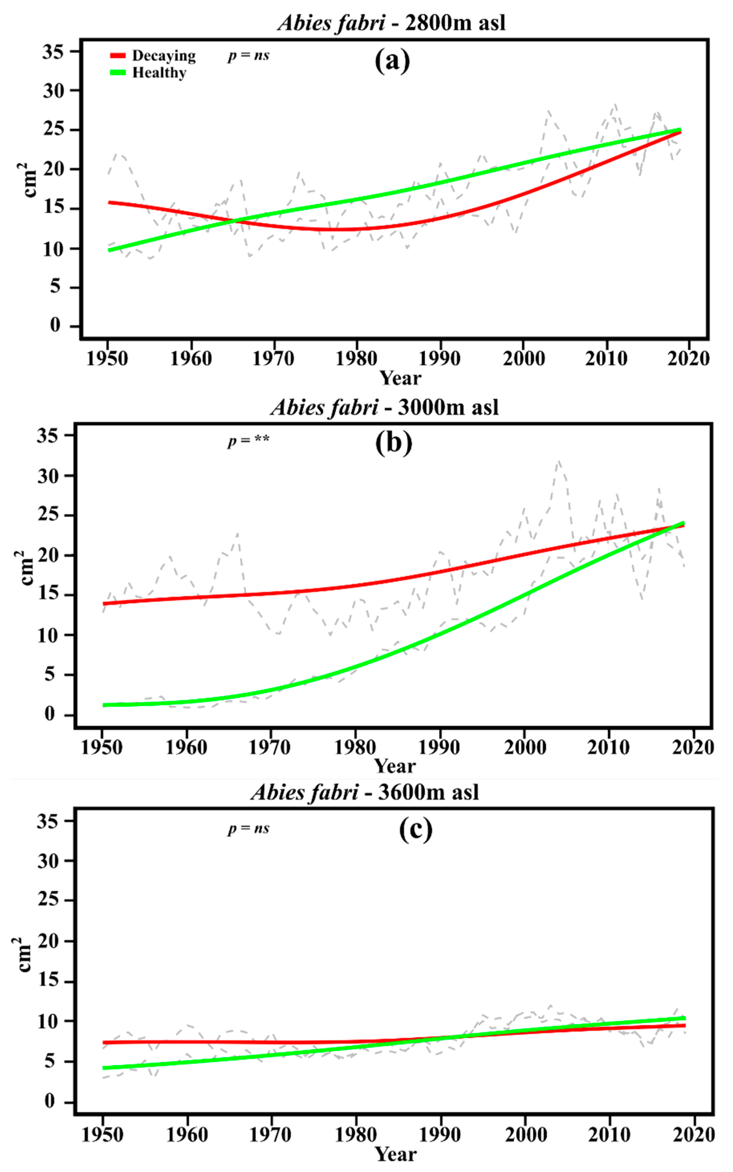 Forests 16 01222 g004