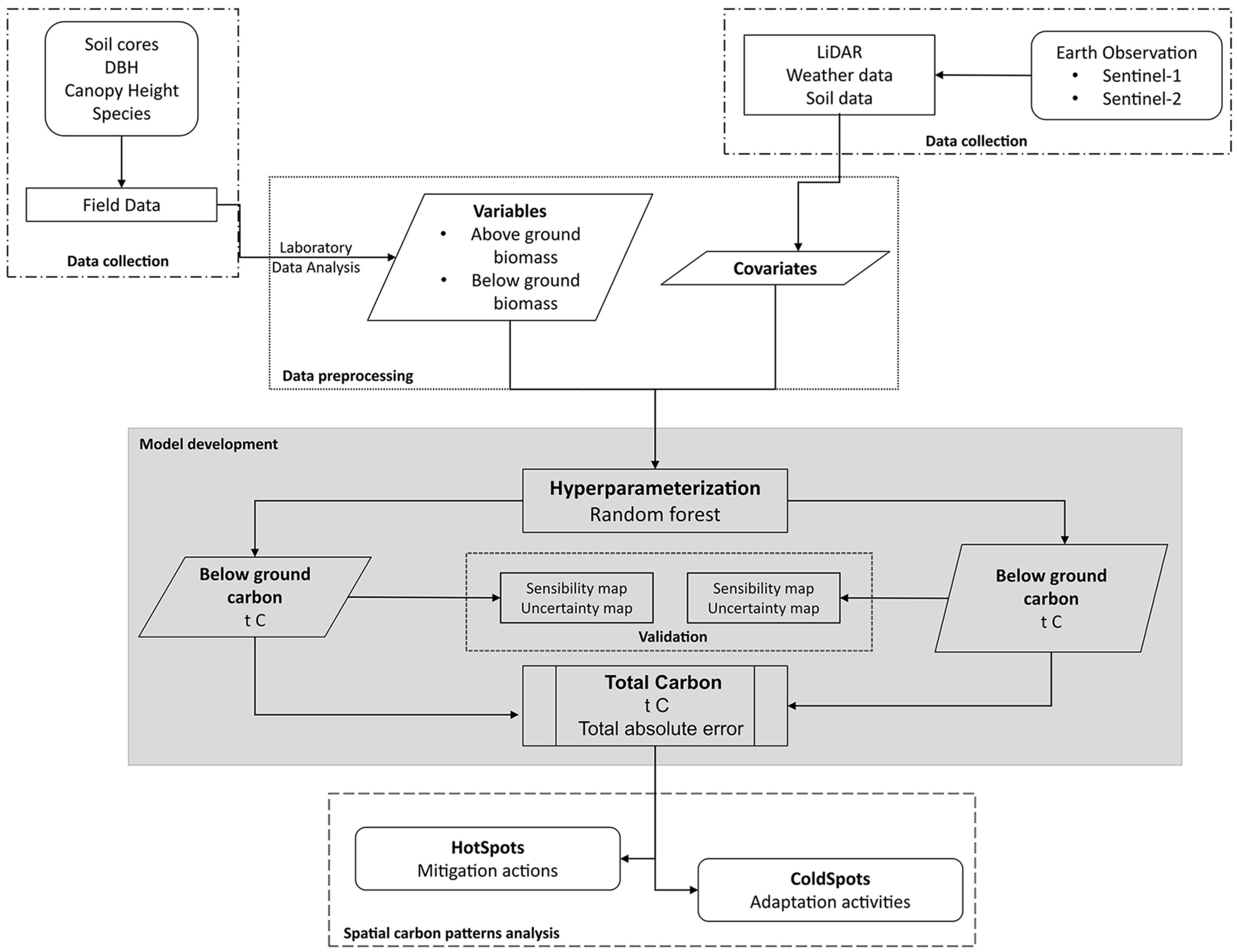 Forests 16 01224 g002