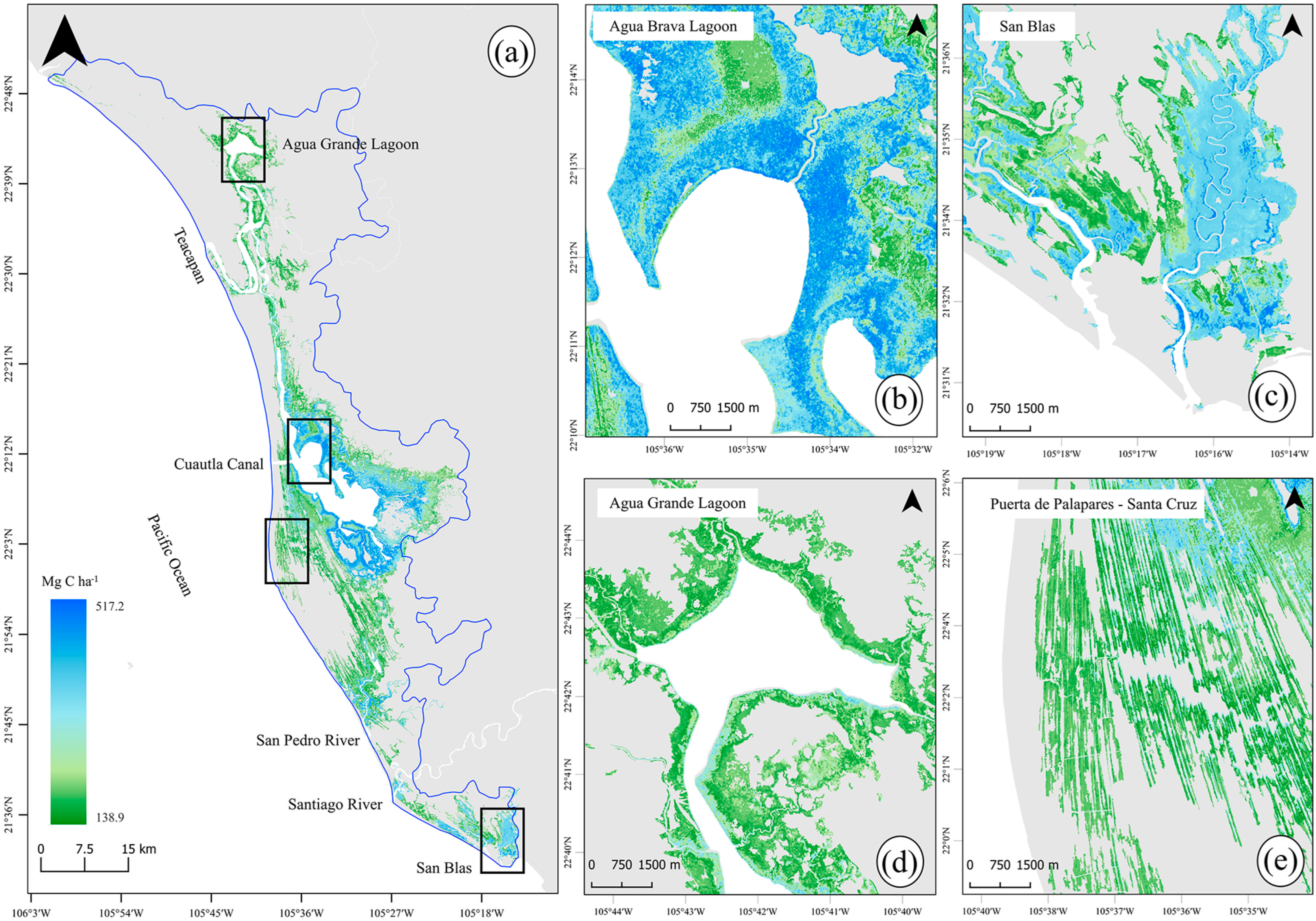 Forests 16 01224 g006