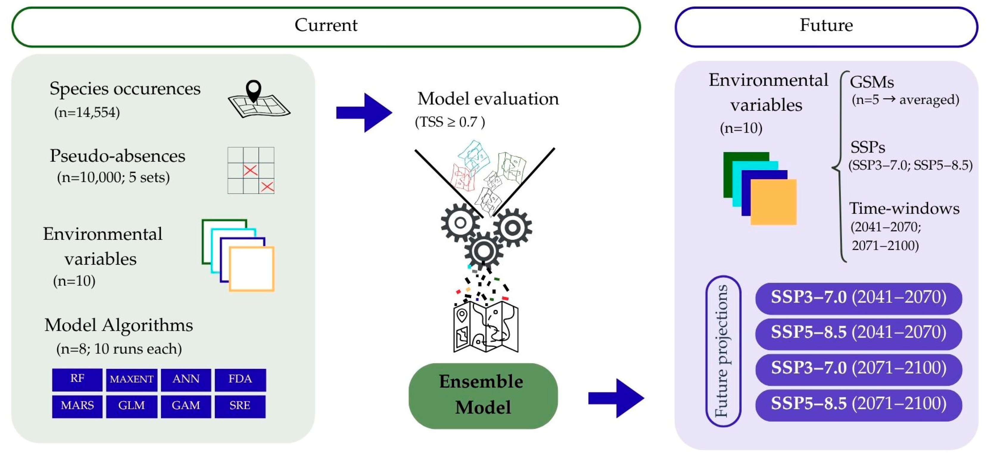 Forests 16 01226 g002
