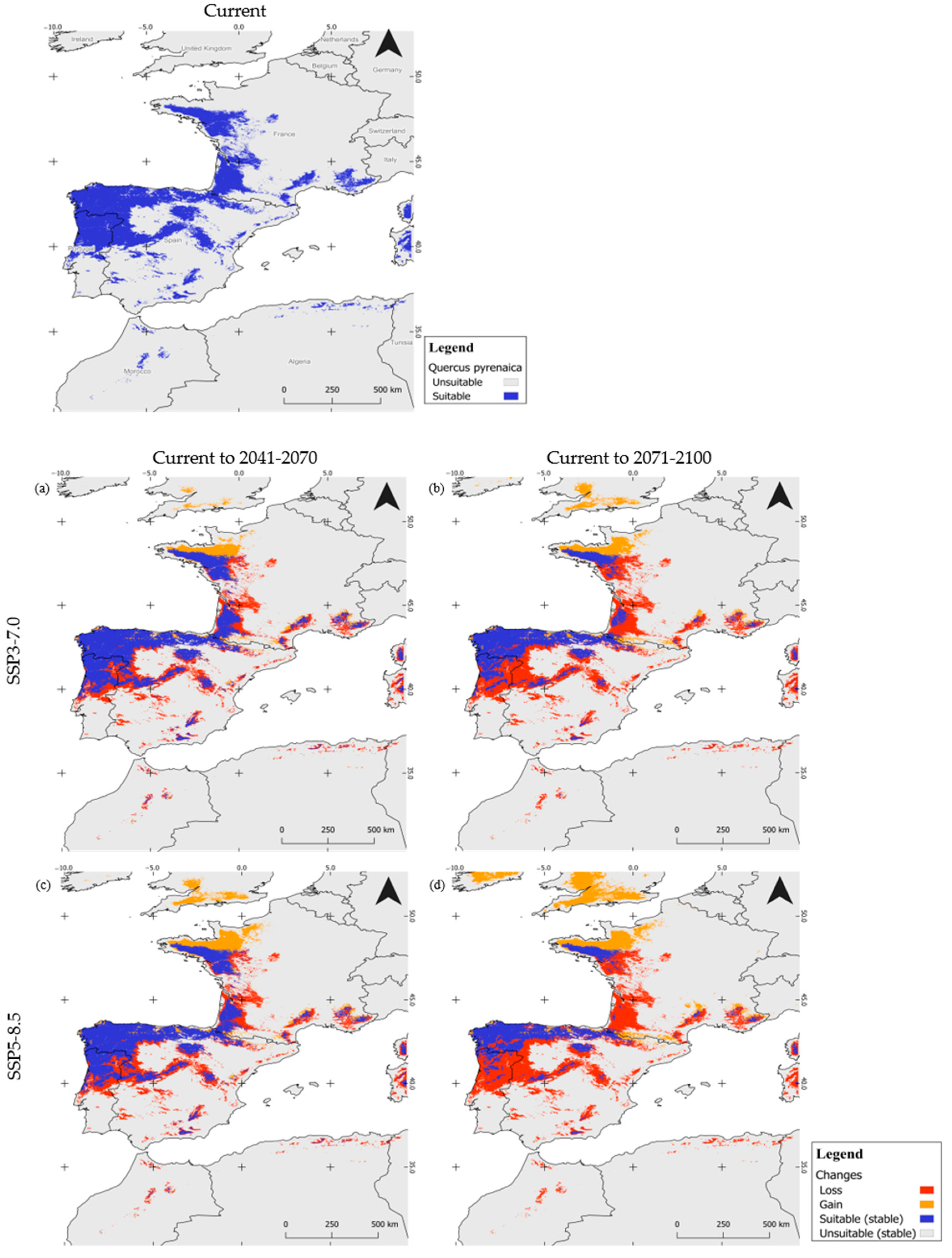 Forests 16 01226 g007