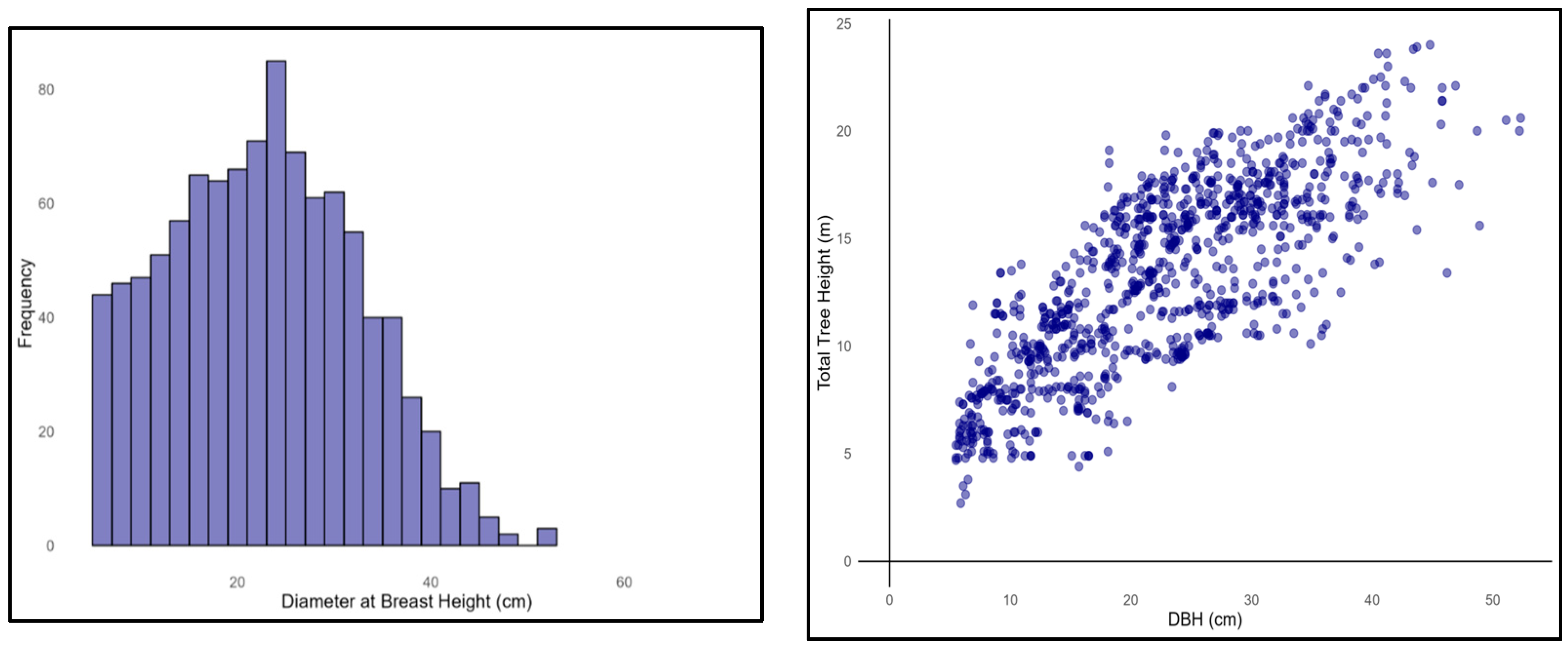 Forests 16 01228 g002