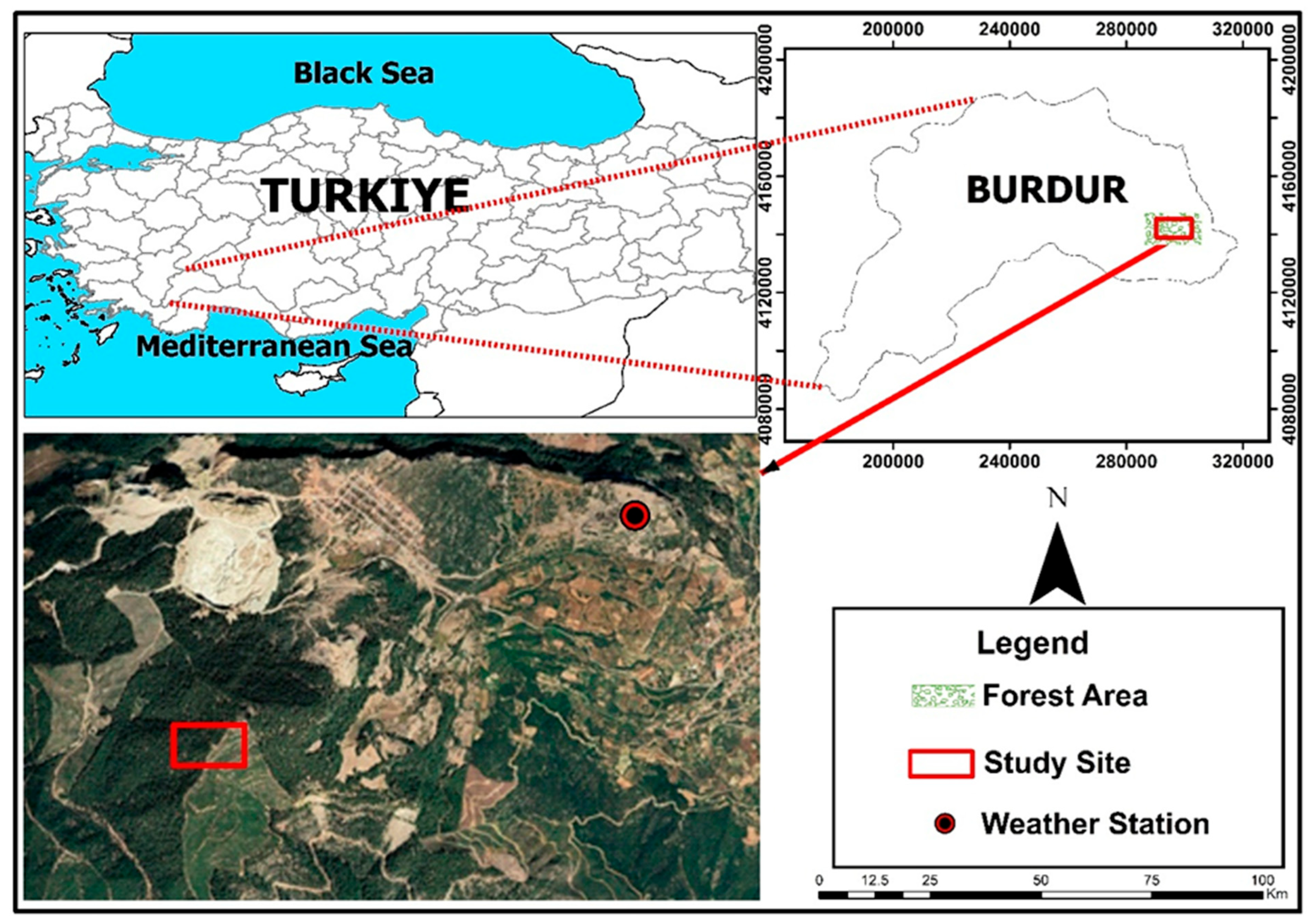 Forests 16 01229 g001