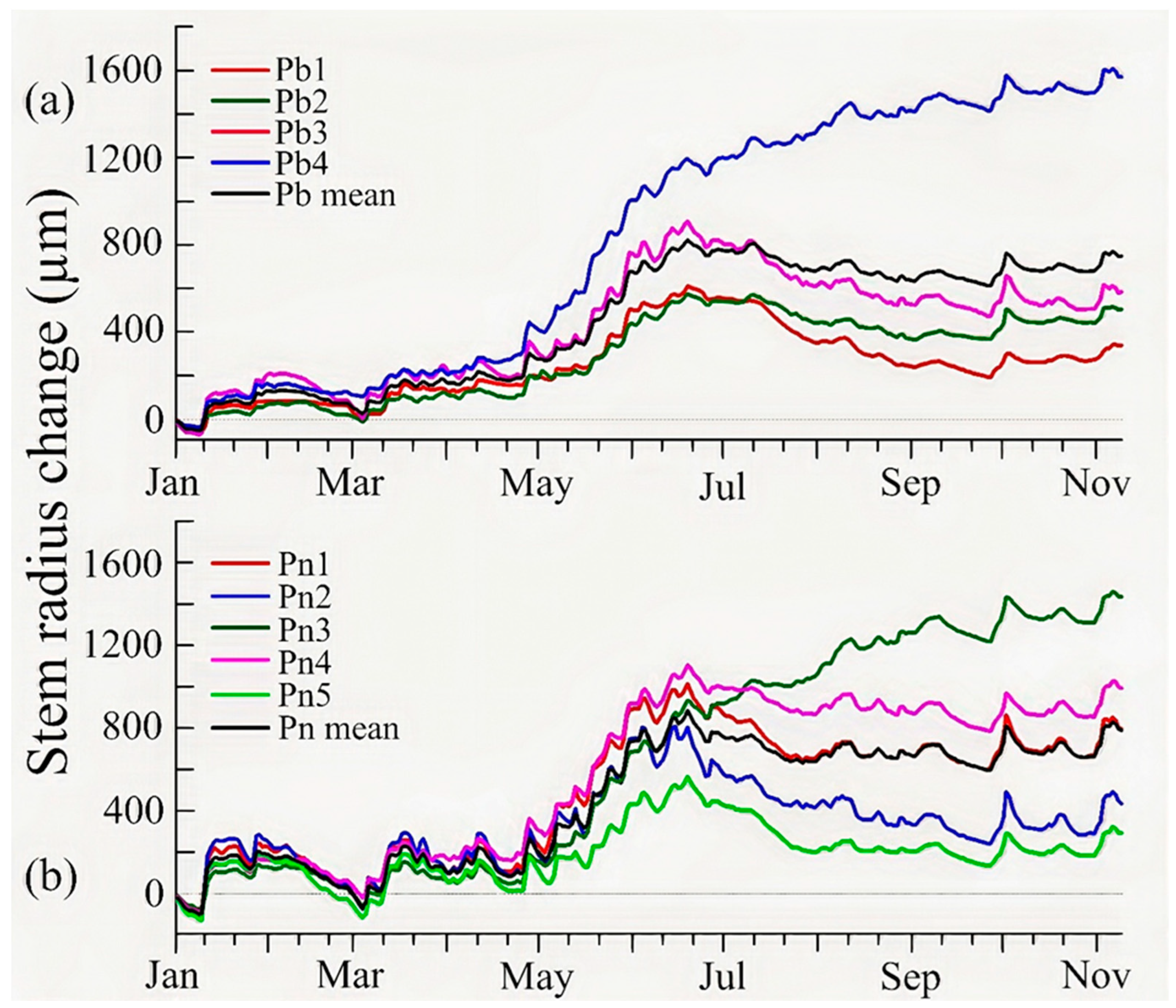 Forests 16 01229 g002