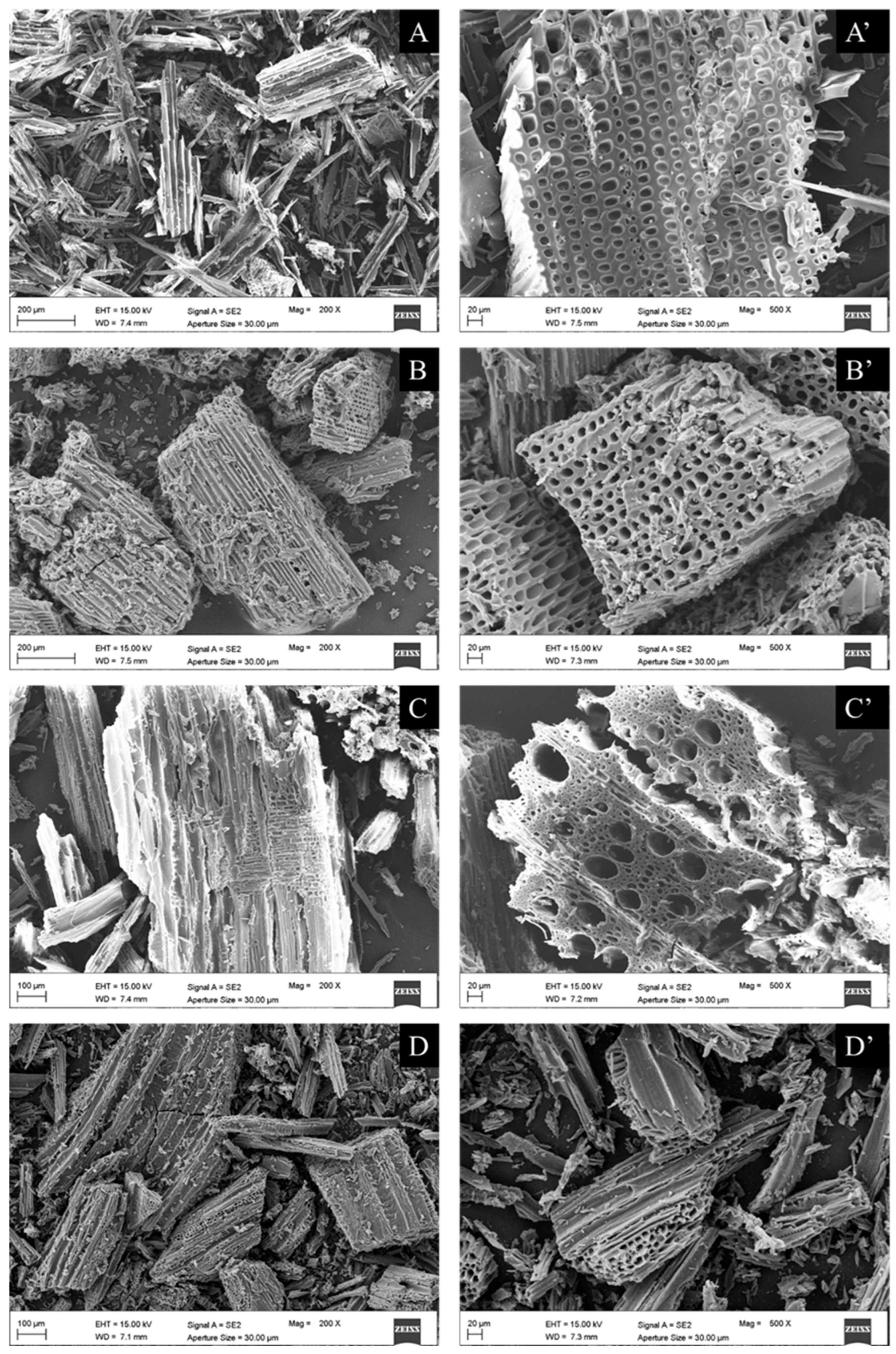 Forests 16 01237 g007