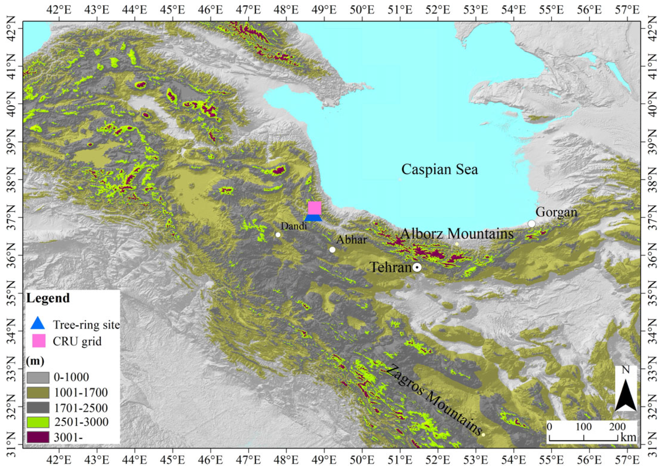 Forests 16 01238 g001