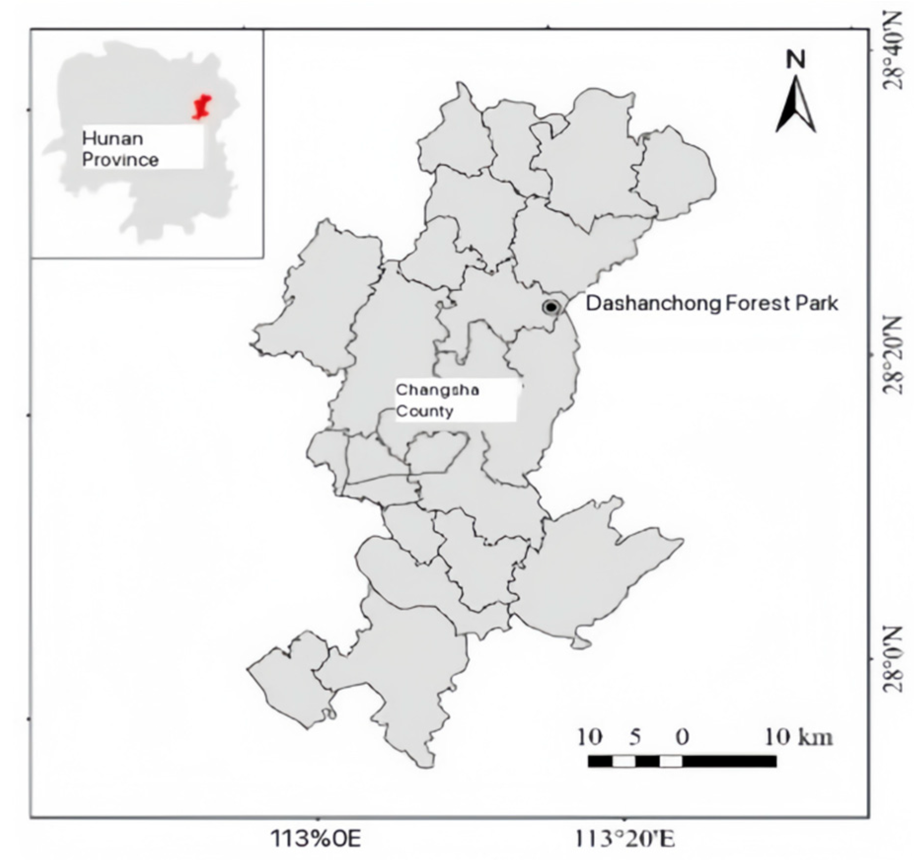 Forests 16 01241 g001