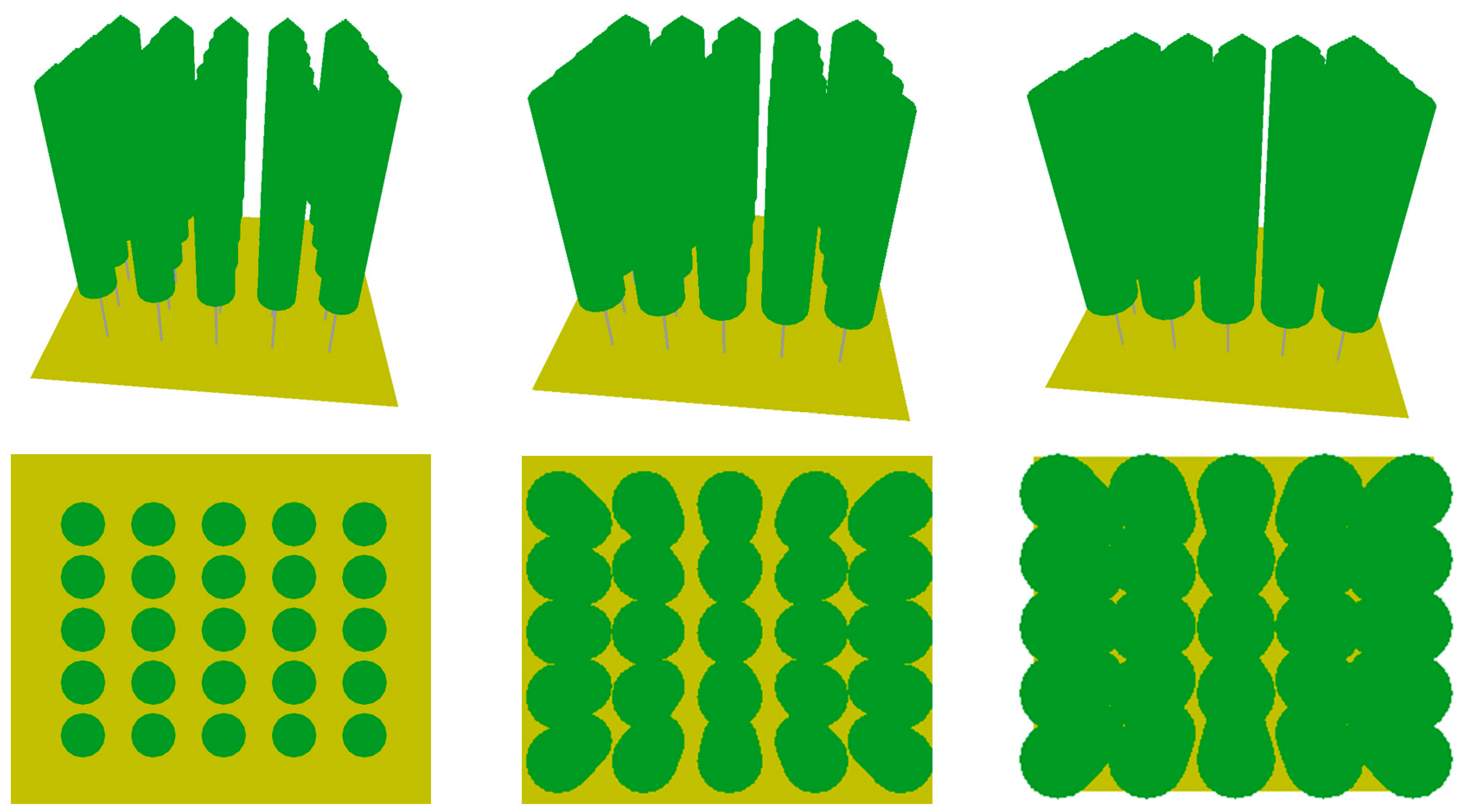 Forests 16 01244 g001