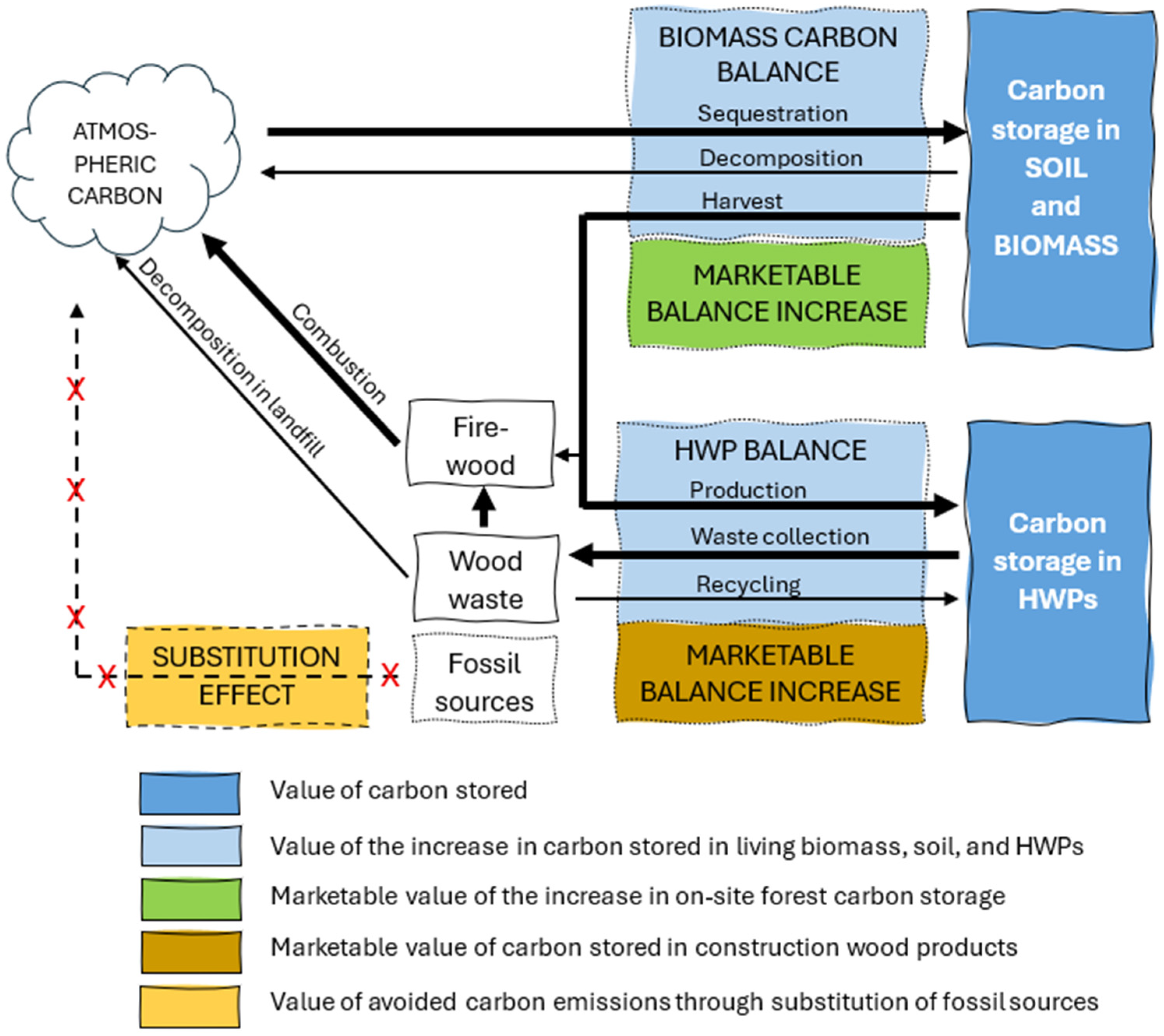 Forests 16 01251 g001