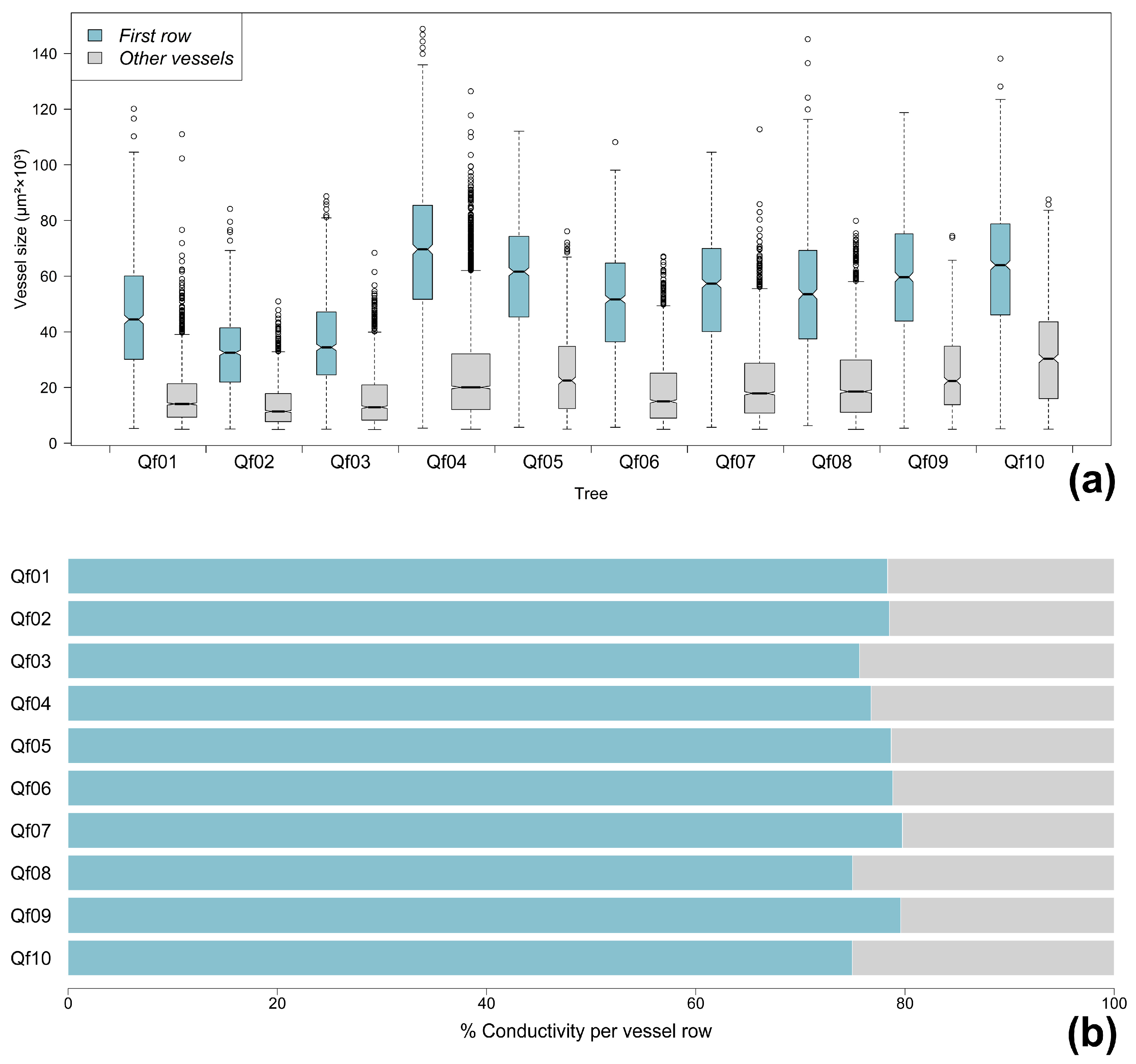 Forests 16 01252 g002