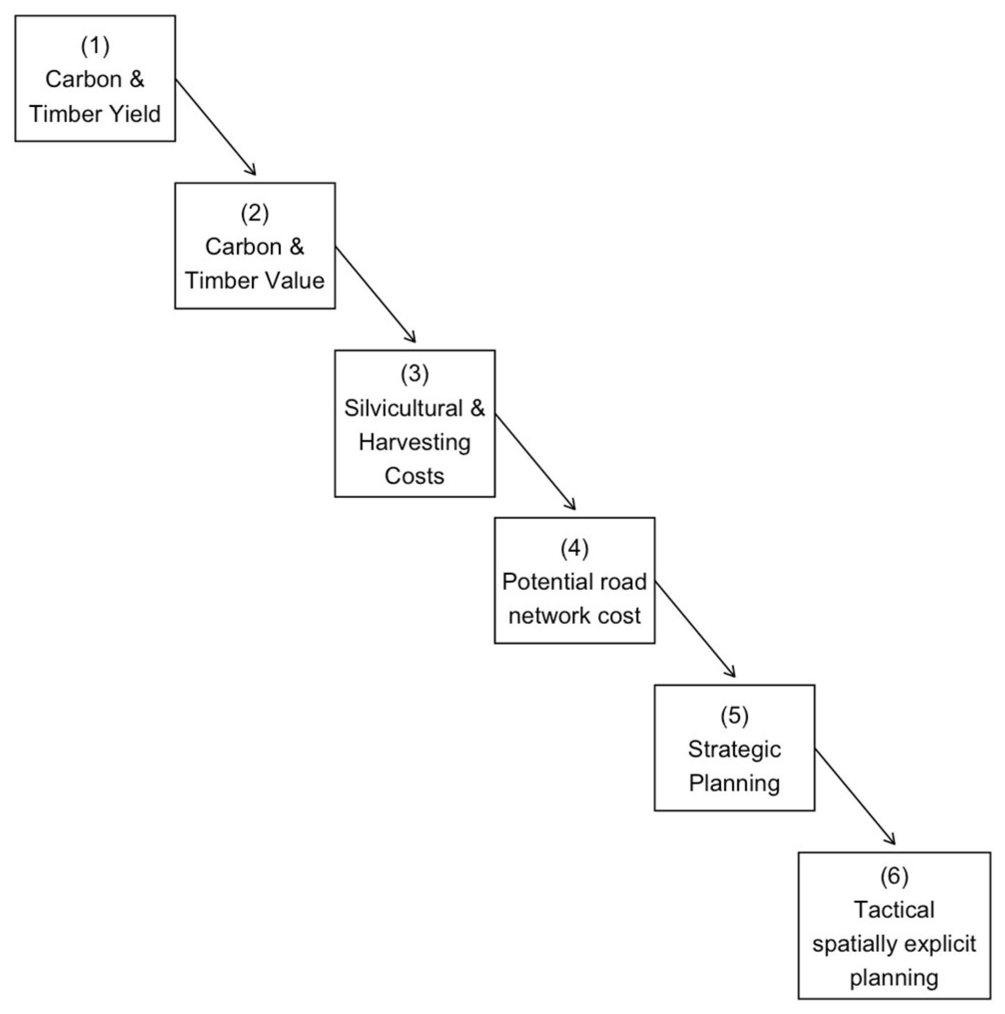 Forests 16 01253 g002