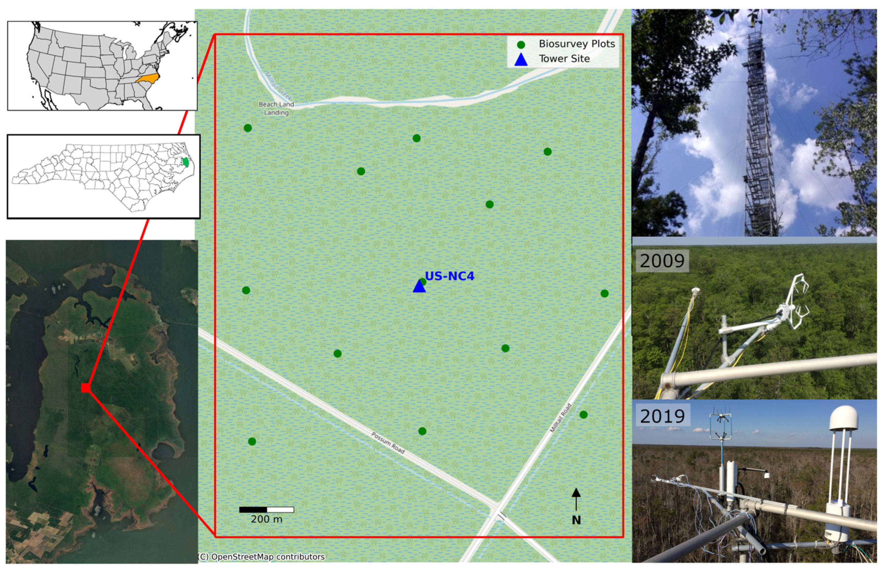 Forests 16 01255 g001
