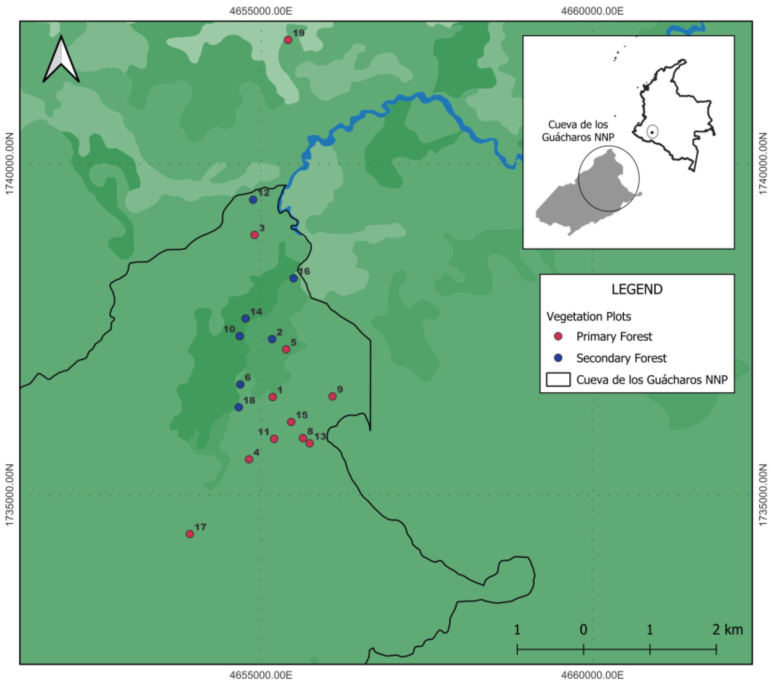 Forests 16 01256 g001