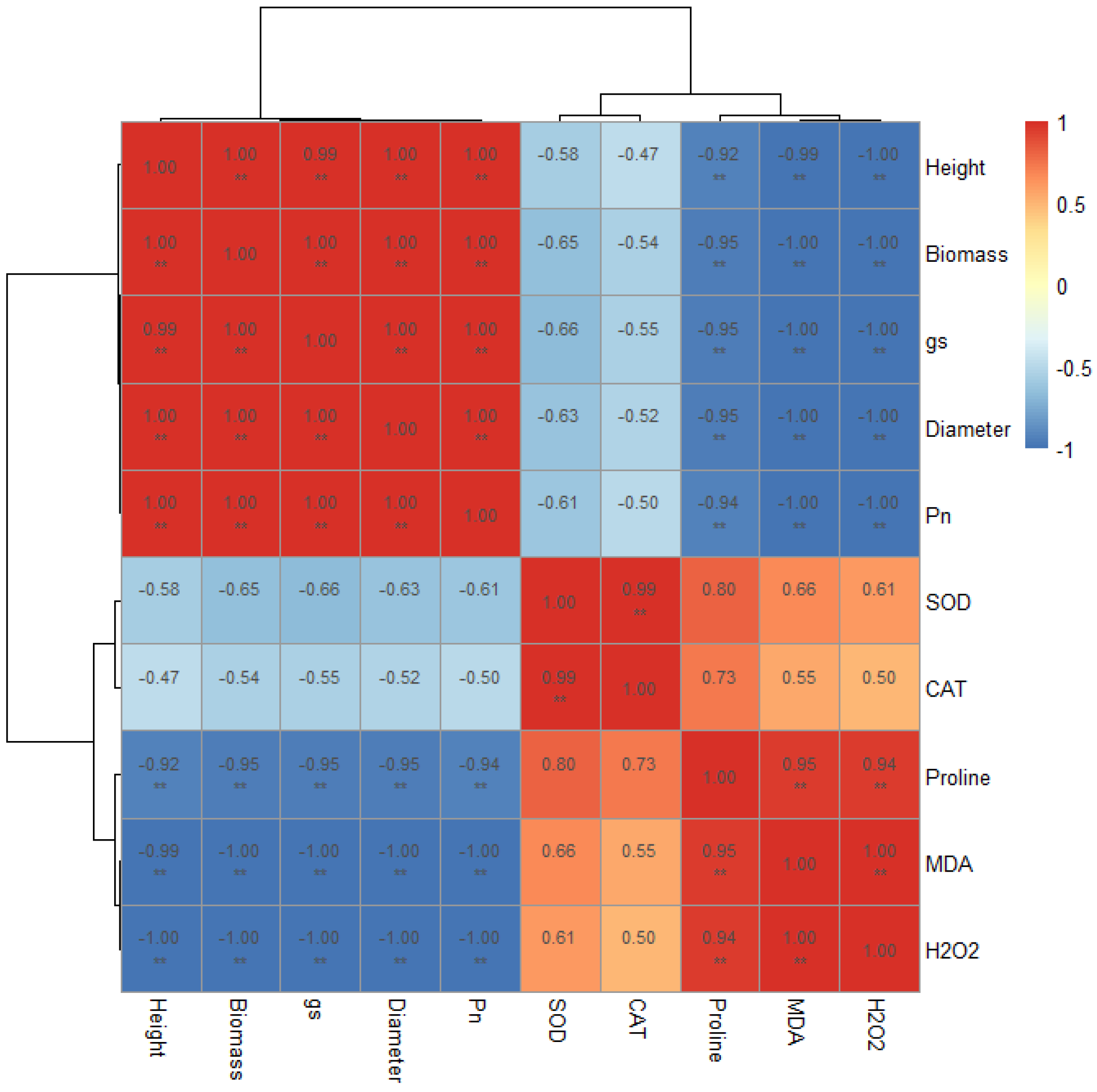 Forests 16 01258 g010