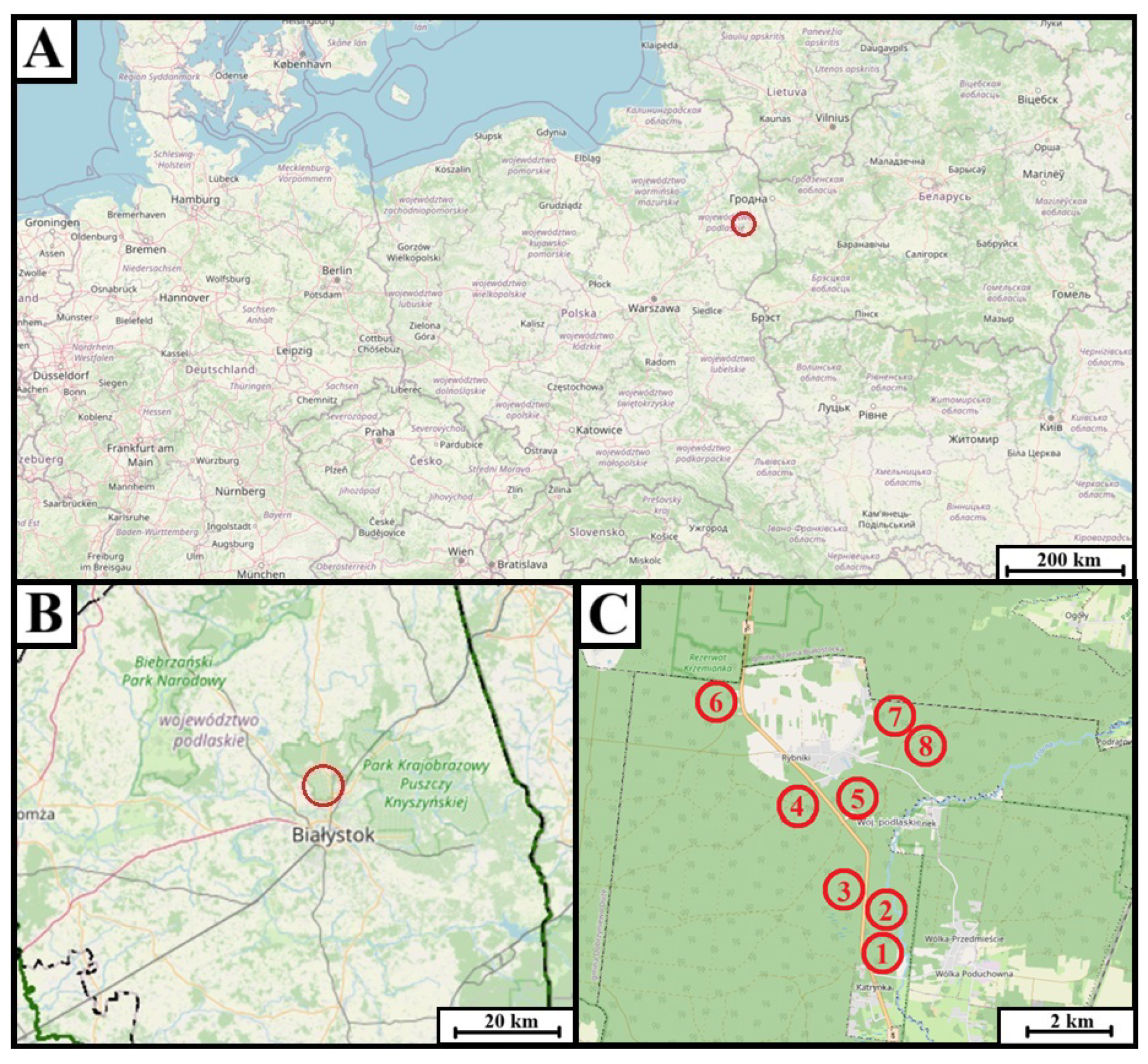 Forests 16 01259 g001