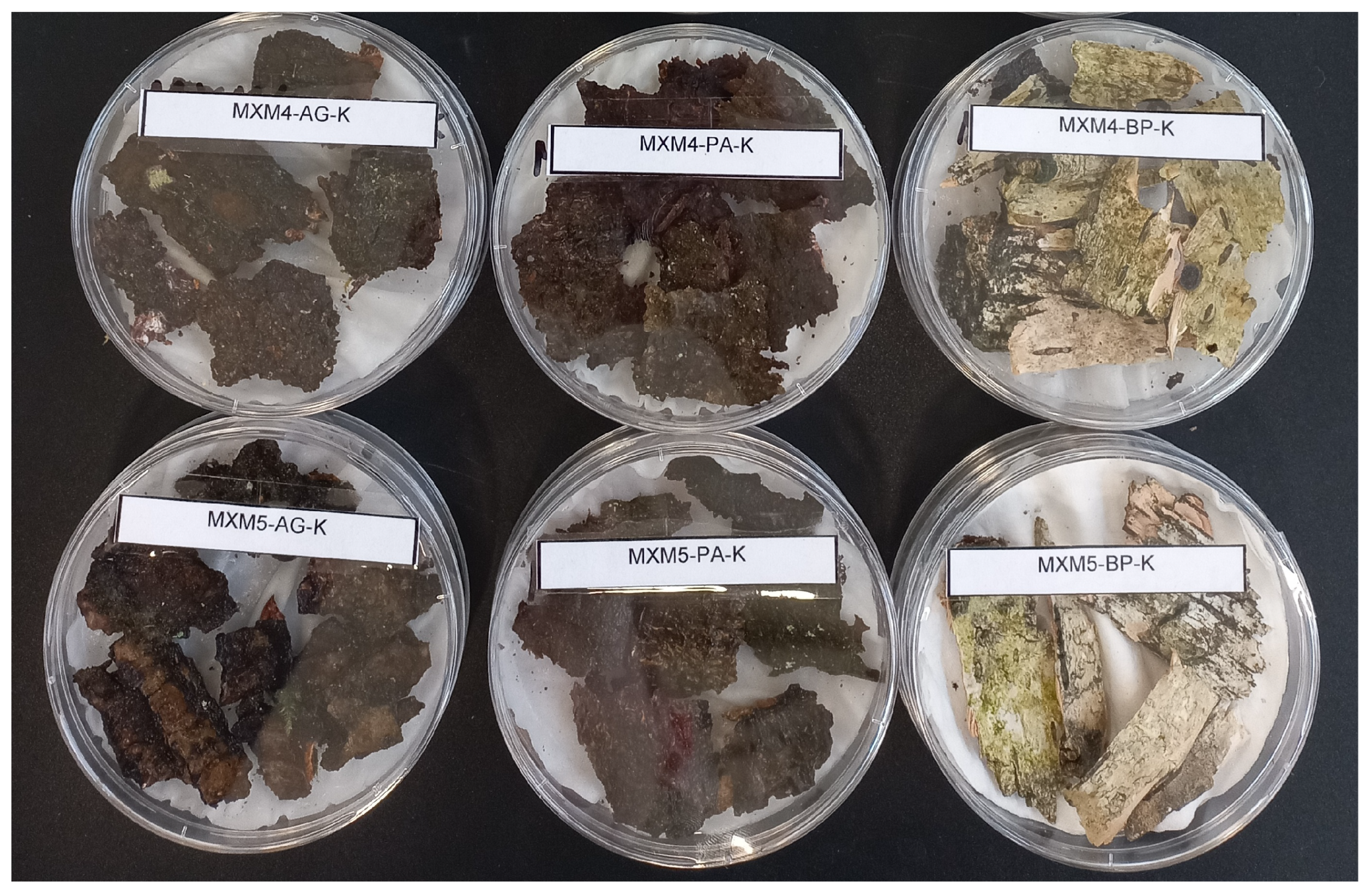 Forests 16 01259 g002