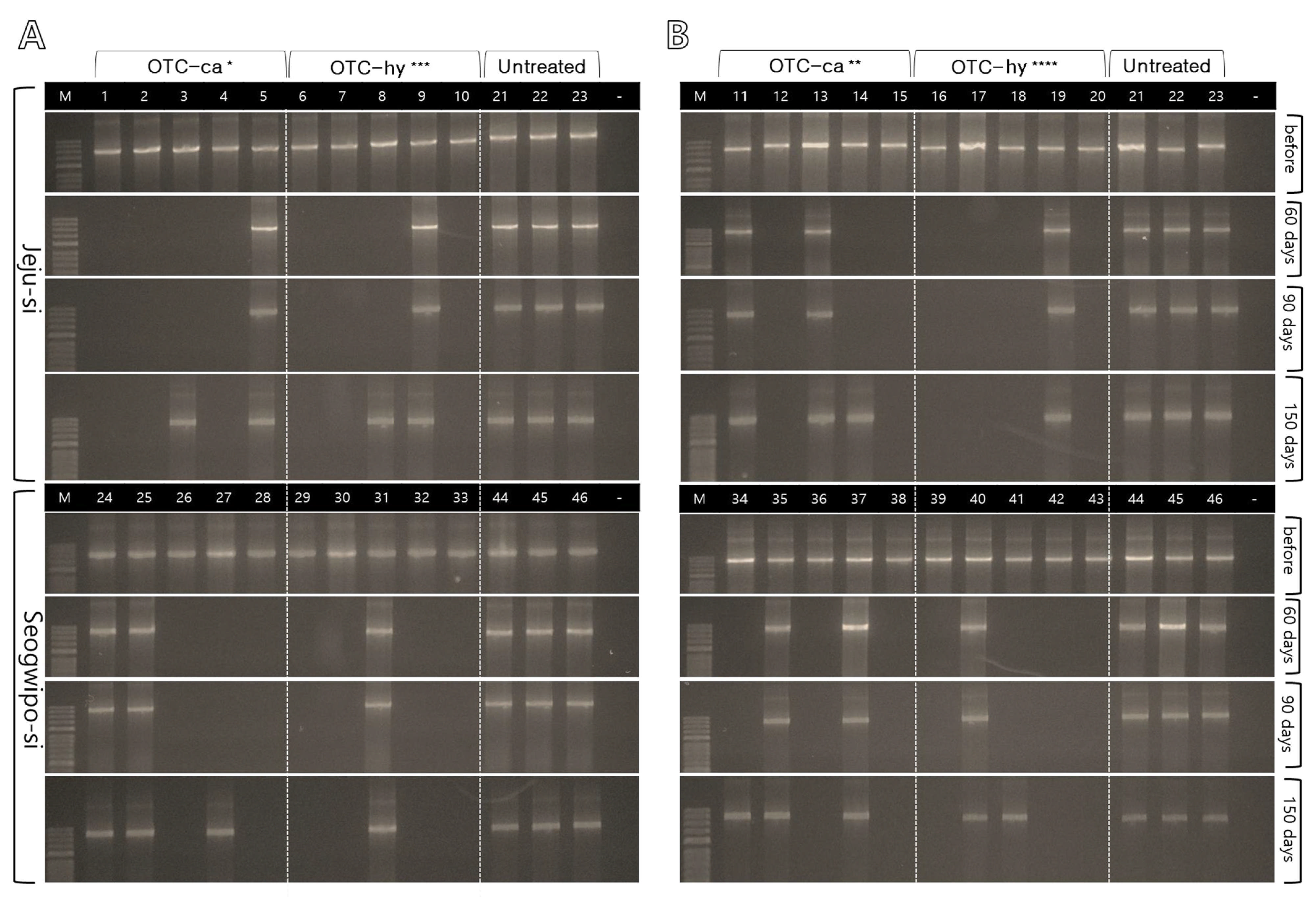 Forests 16 01260 g006