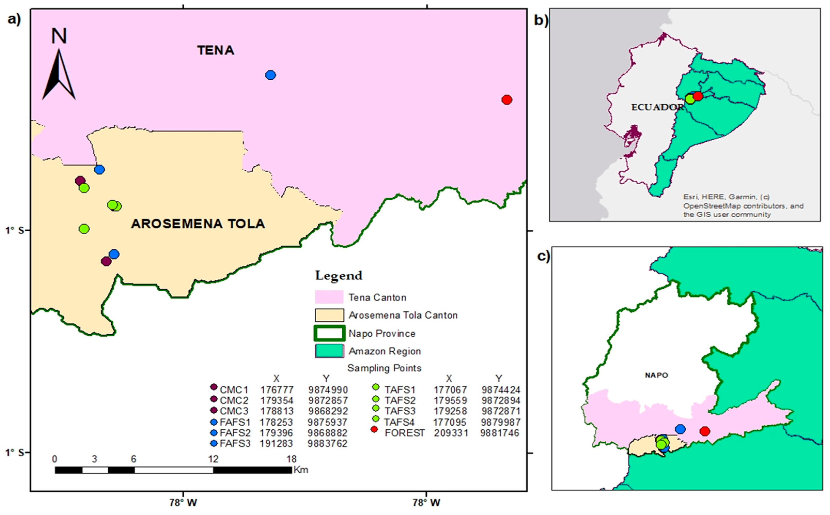 Forests 16 01275 g001 Forests 16 01275 g001
