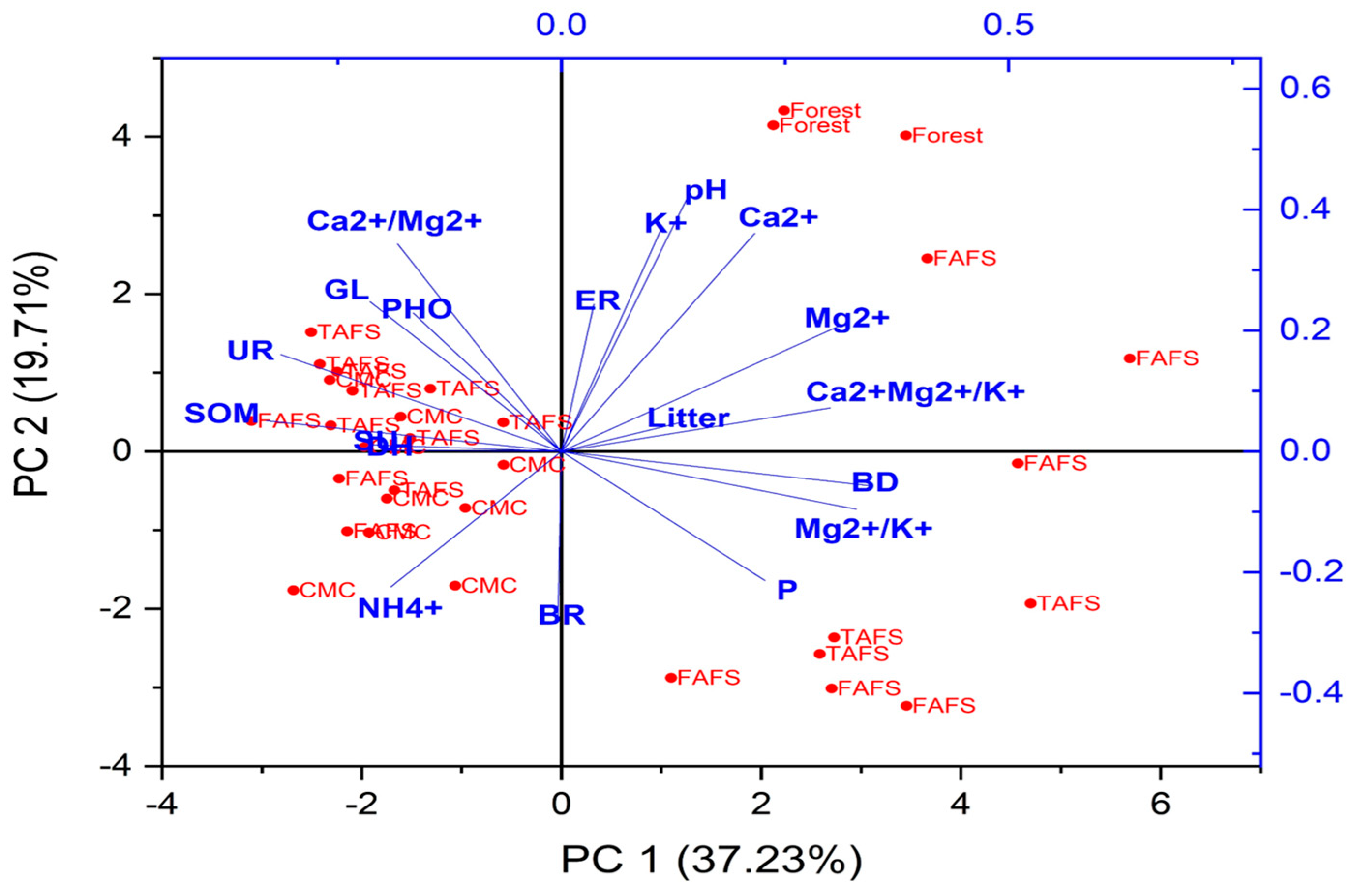 Forests 16 01275 g002 Forests 16 01275 g002