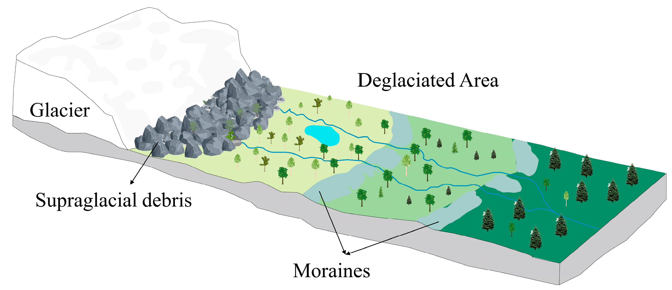 Forests 16 01277 g001