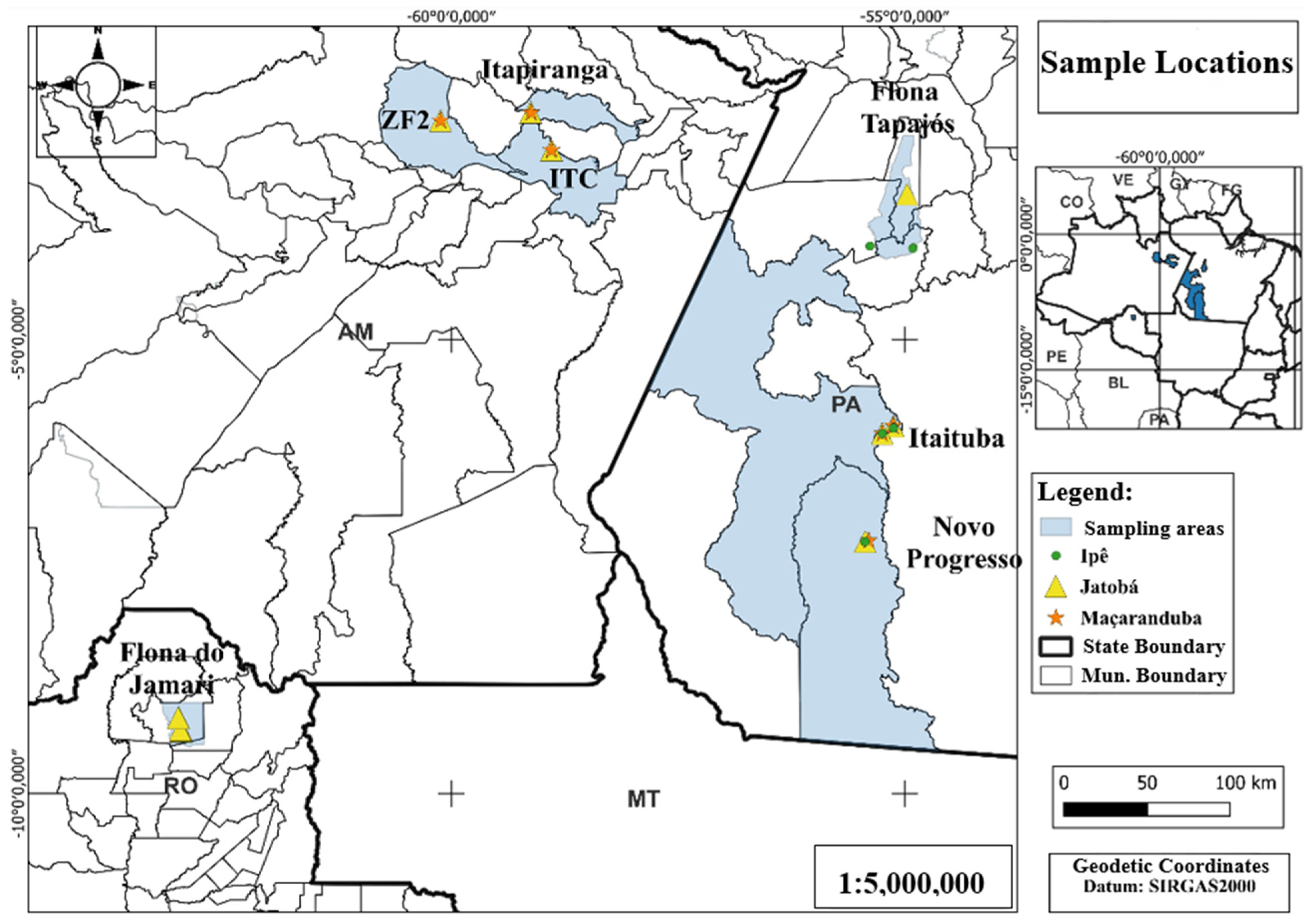 Forests 16 01284 g001