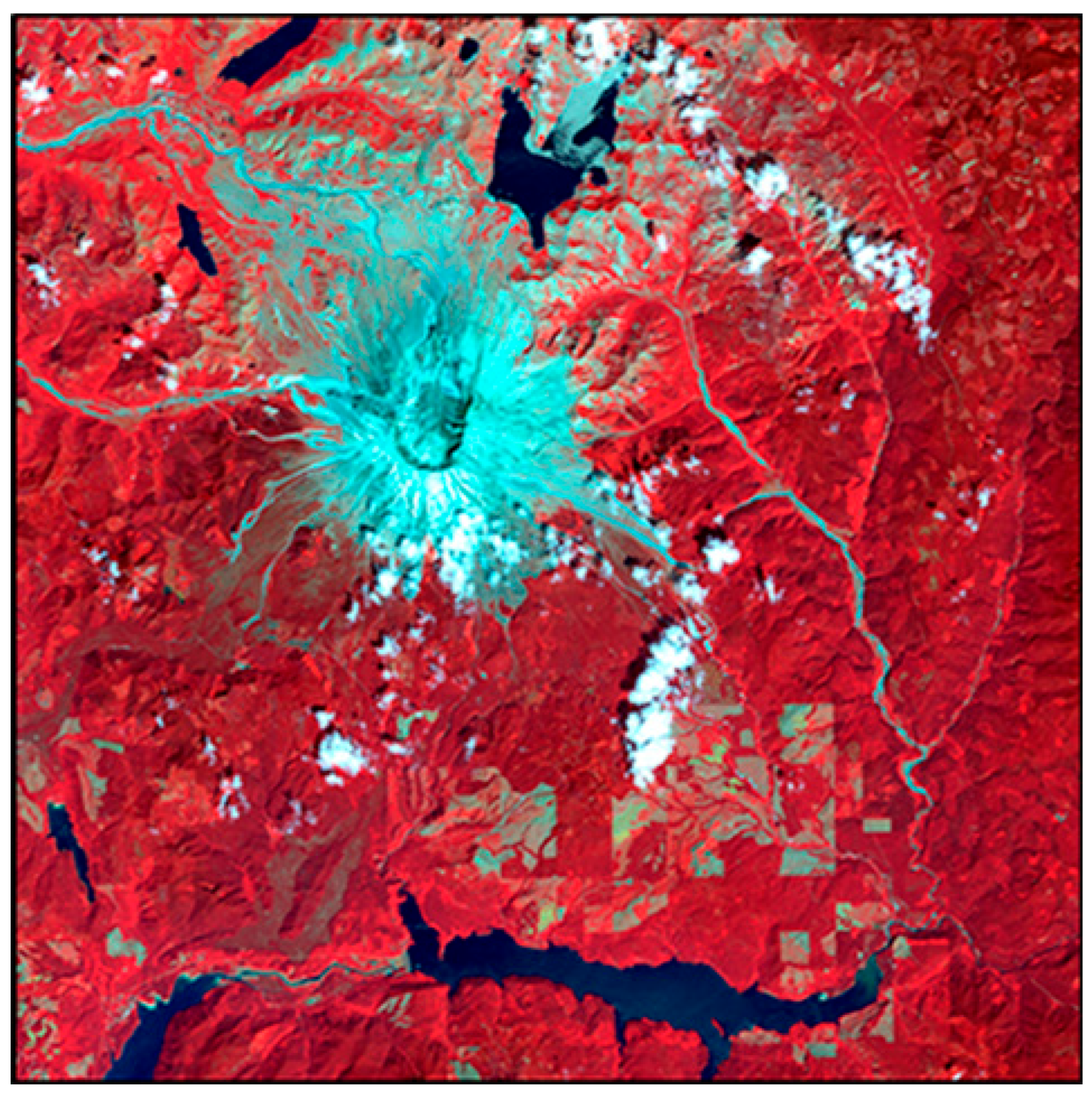 Forests 16 01287 g001 Forests 16 01287 g001