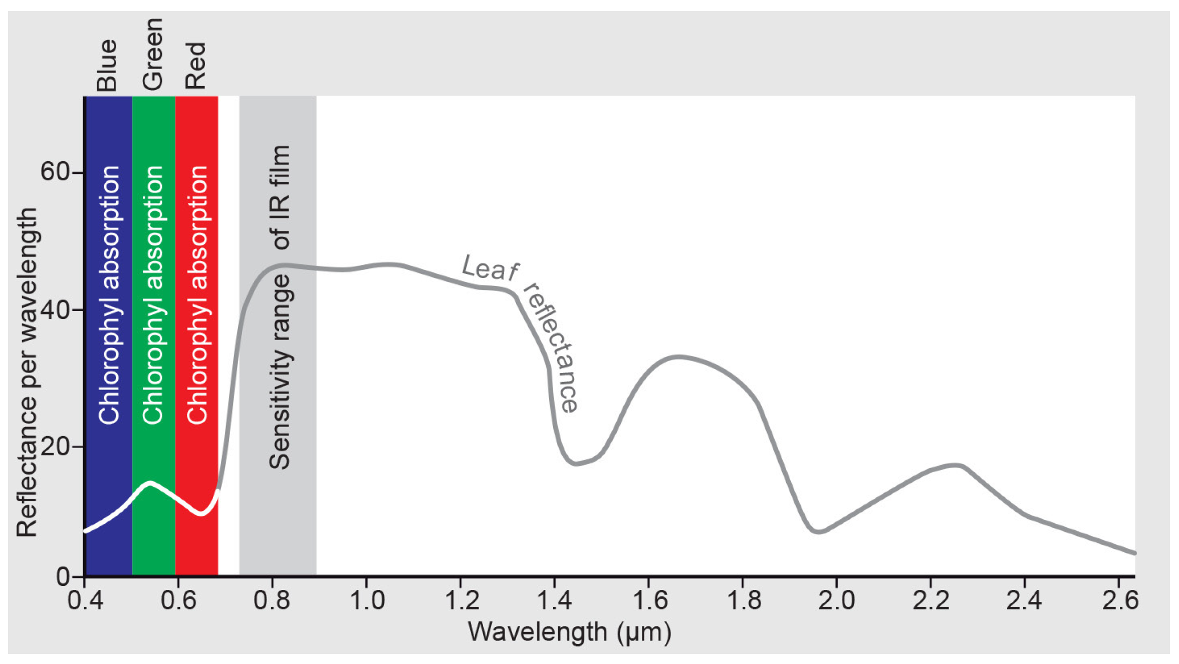 Forests 16 01287 g002 Forests 16 01287 g002