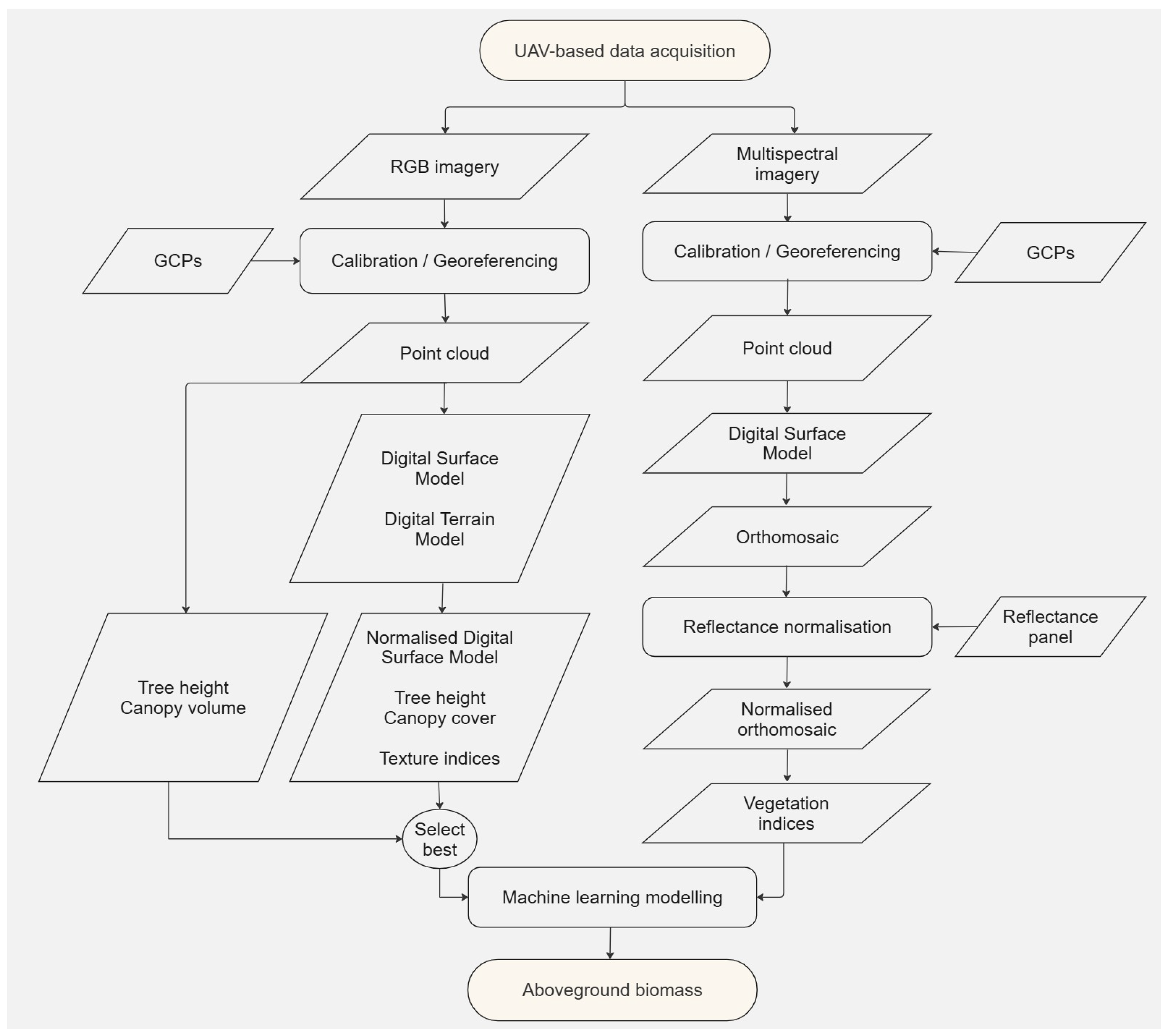 Forests 16 01287 g005 Forests 16 01287 g005