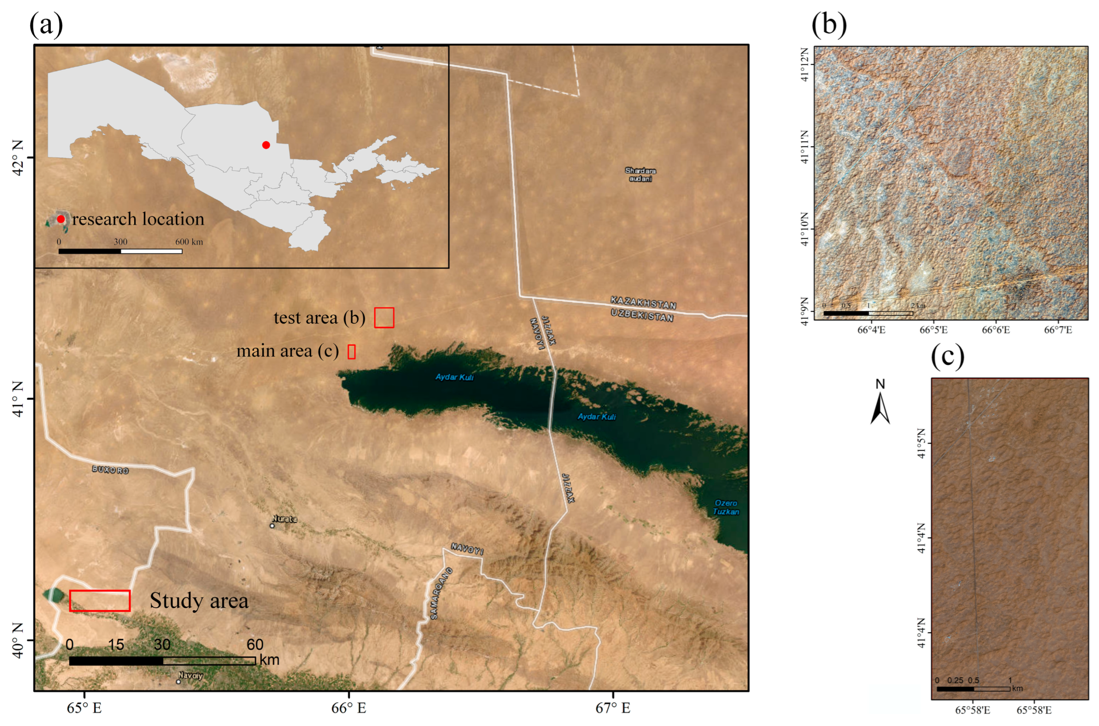 Forests 16 01288 g001