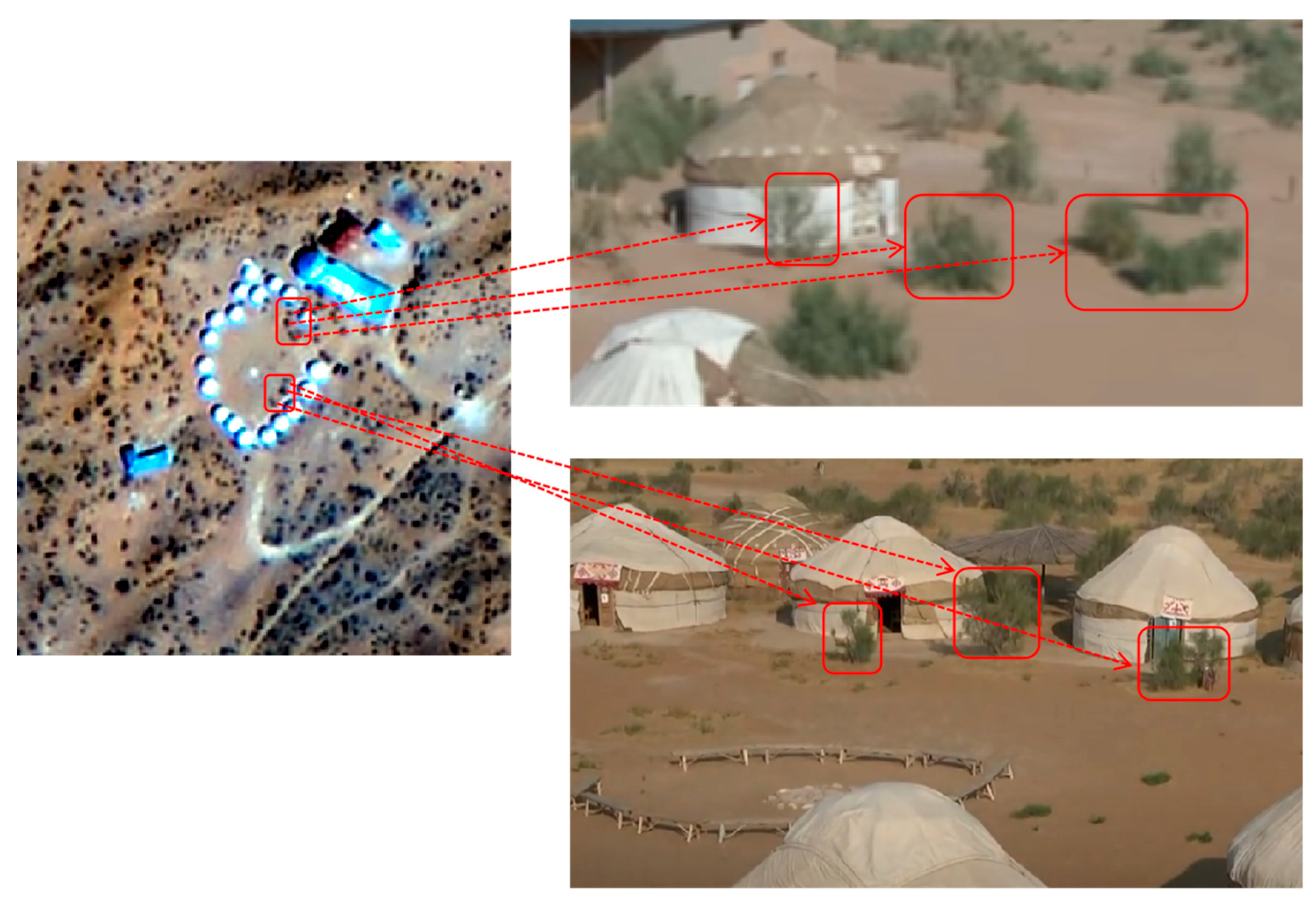 Forests 16 01288 g002