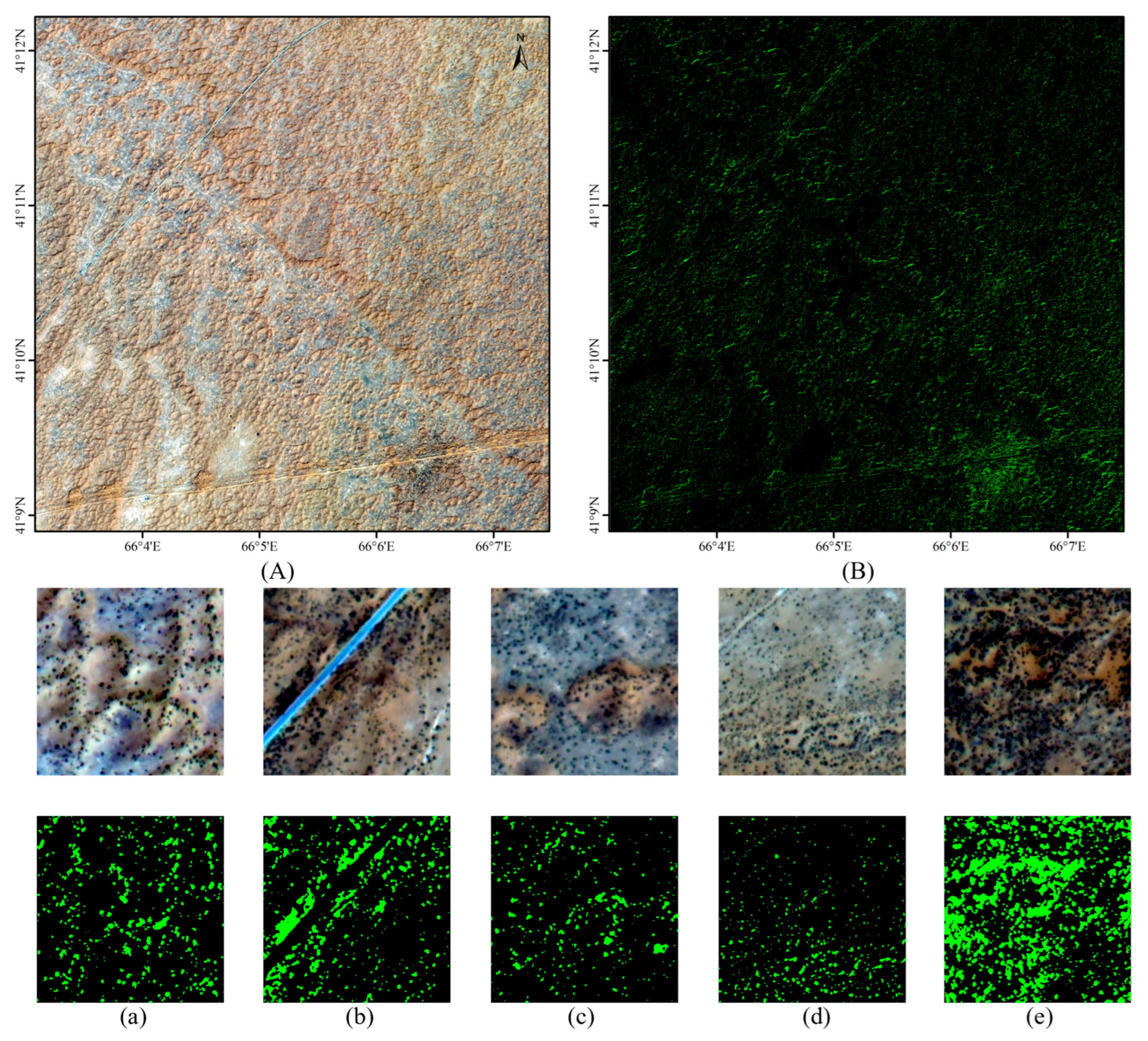 Forests 16 01288 g010