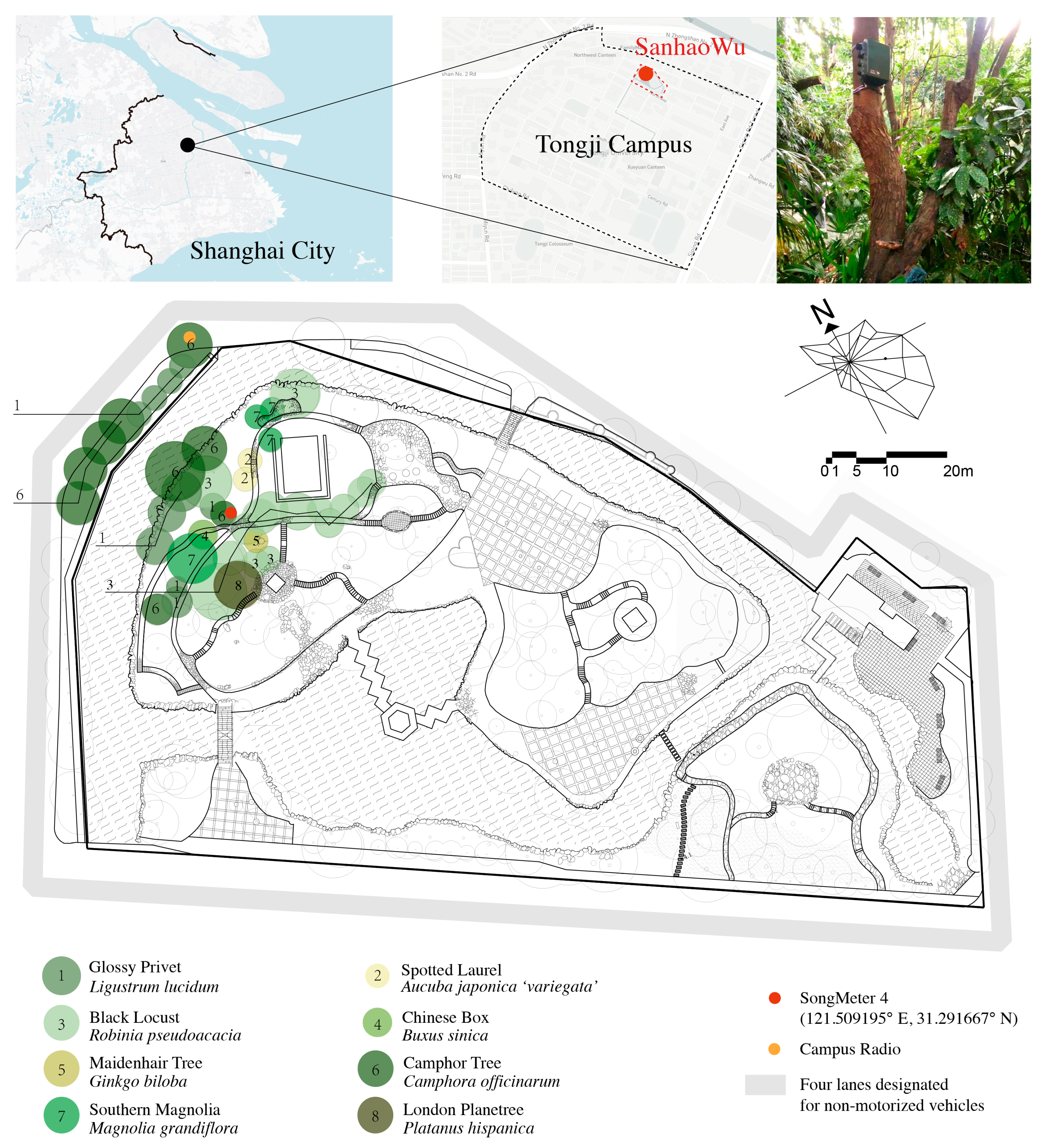 Forests 16 01289 g001 Forests 16 01289 g001