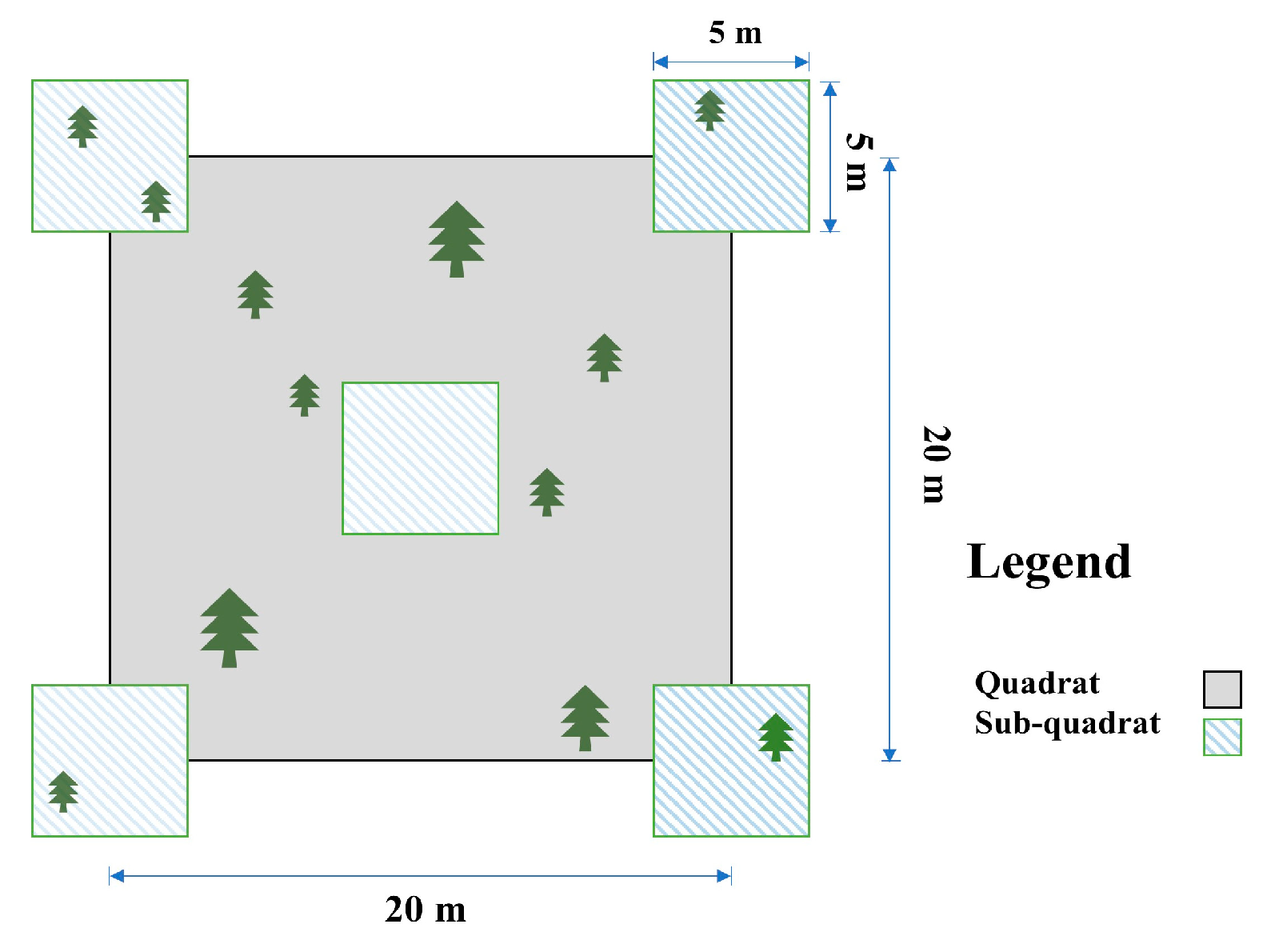 Forests 16 01290 g001
