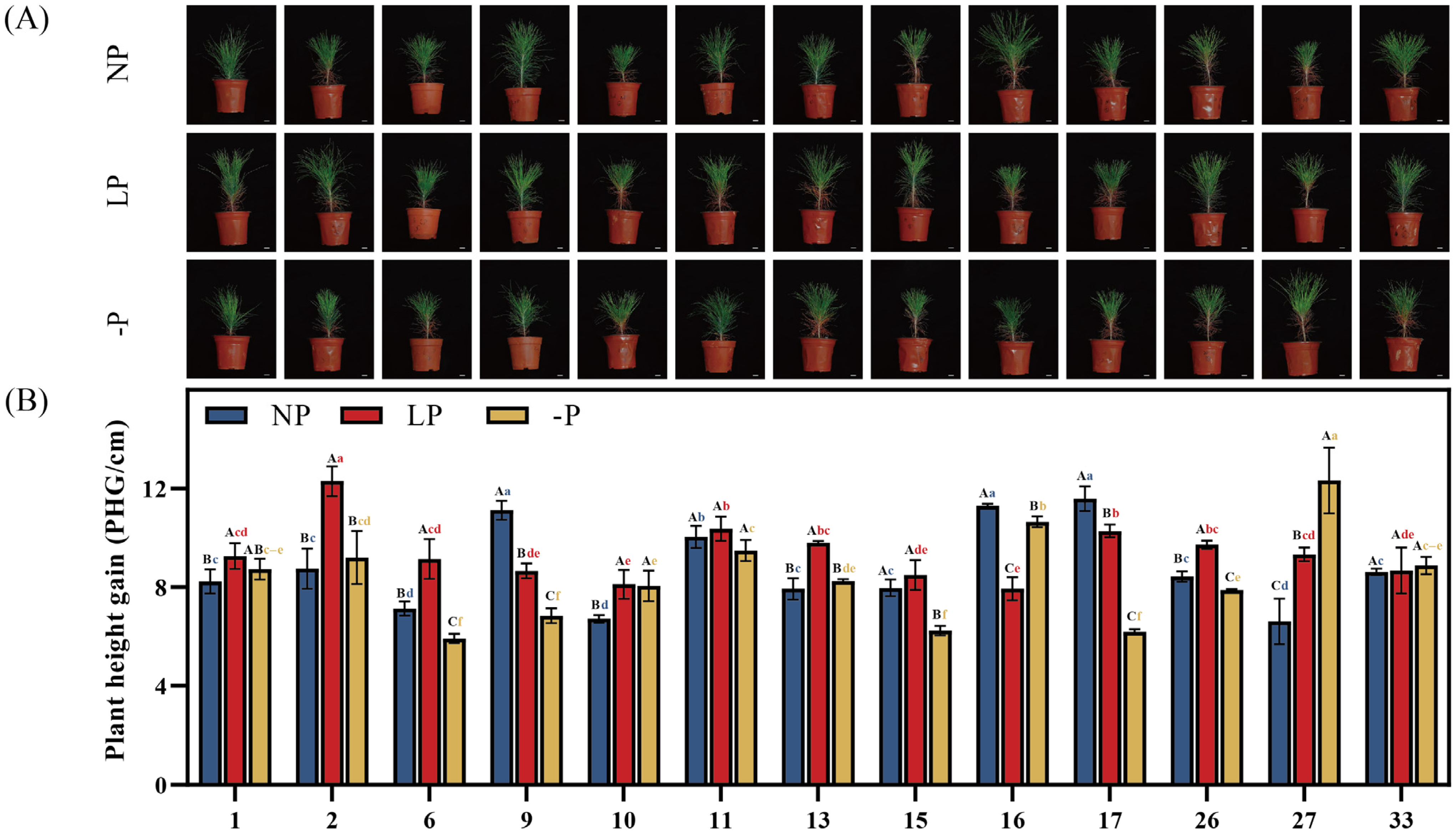 Forests 16 01291 g001 Forests 16 01291 g001