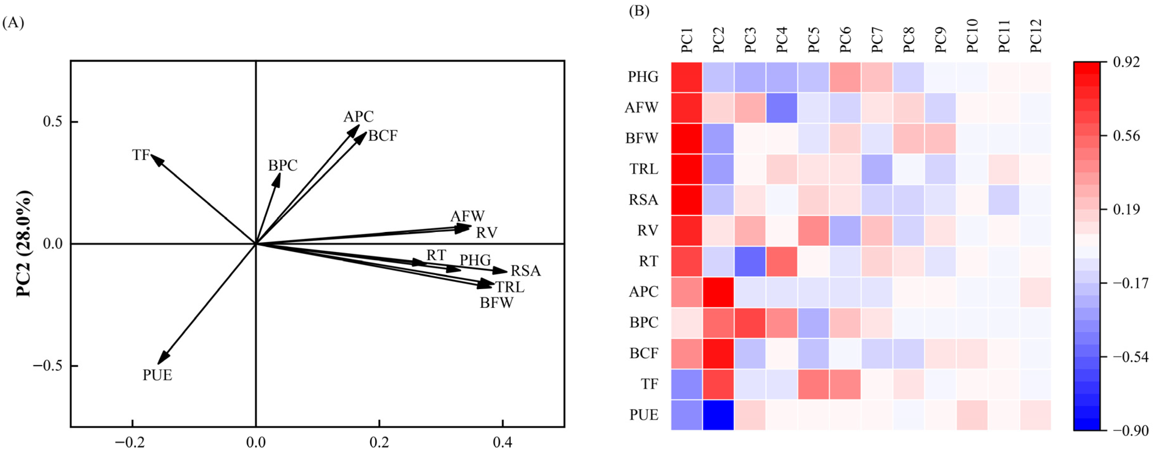 Forests 16 01291 g006 Forests 16 01291 g006