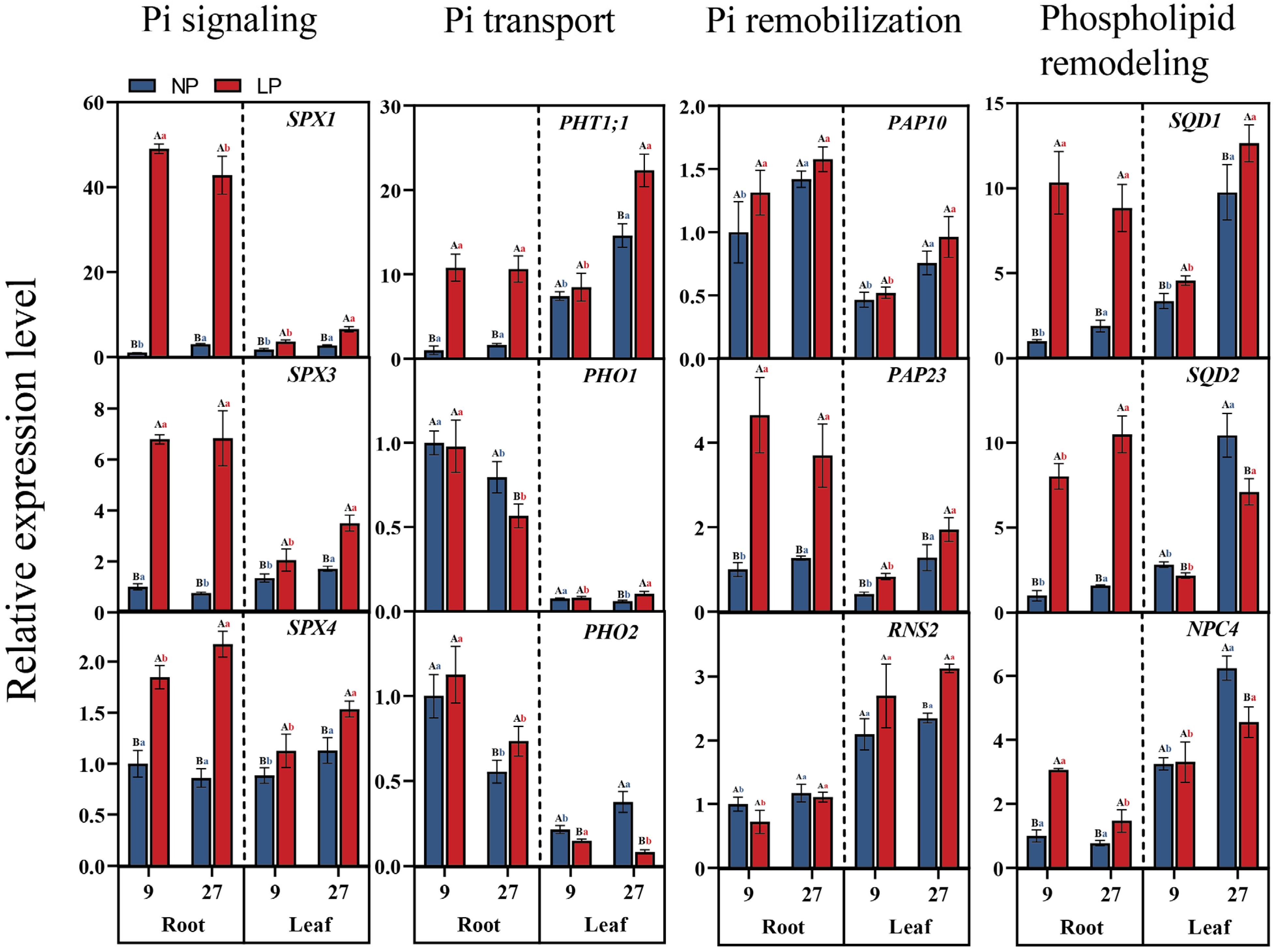 Forests 16 01291 g009 Forests 16 01291 g009