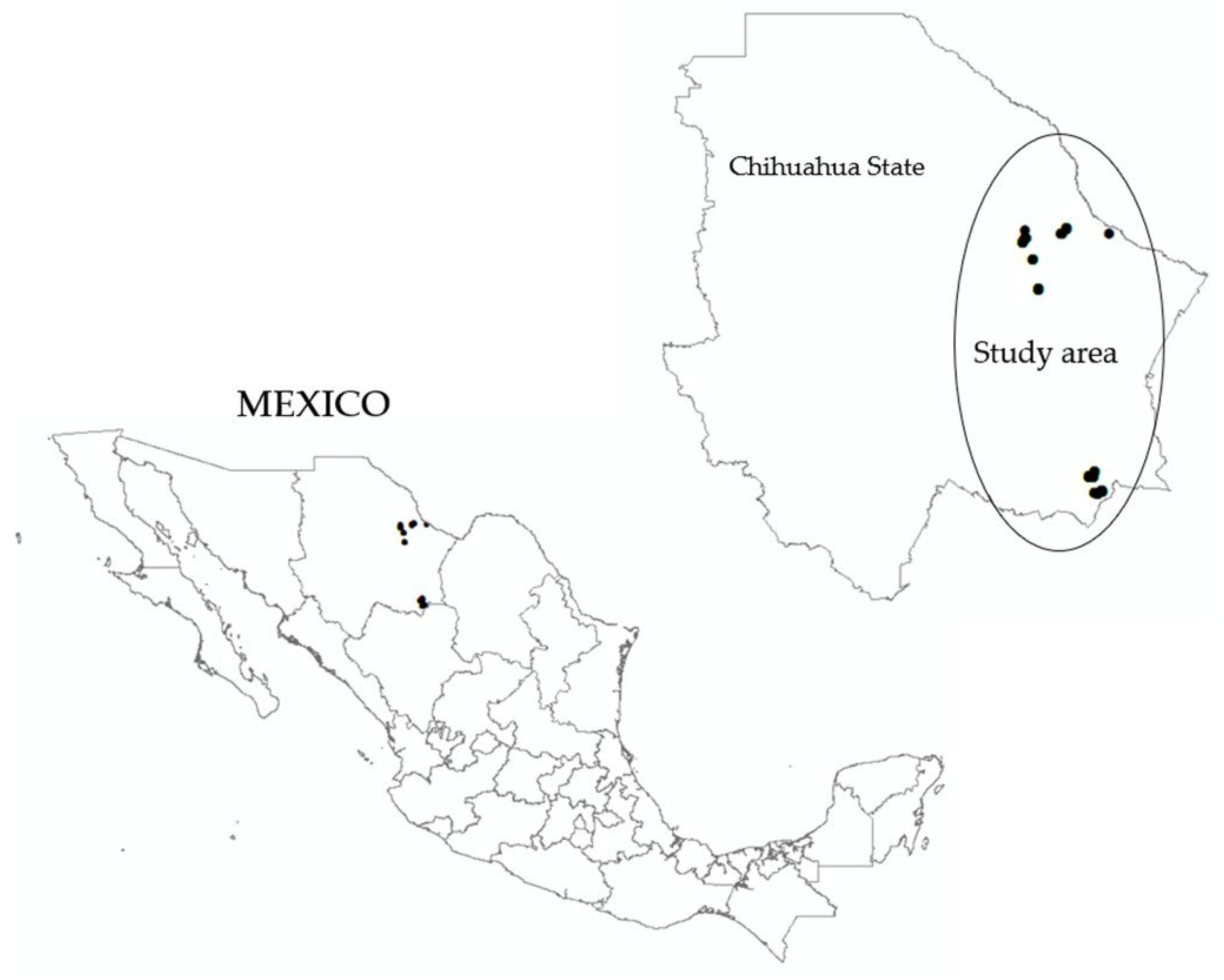 Forests 16 01295 g001