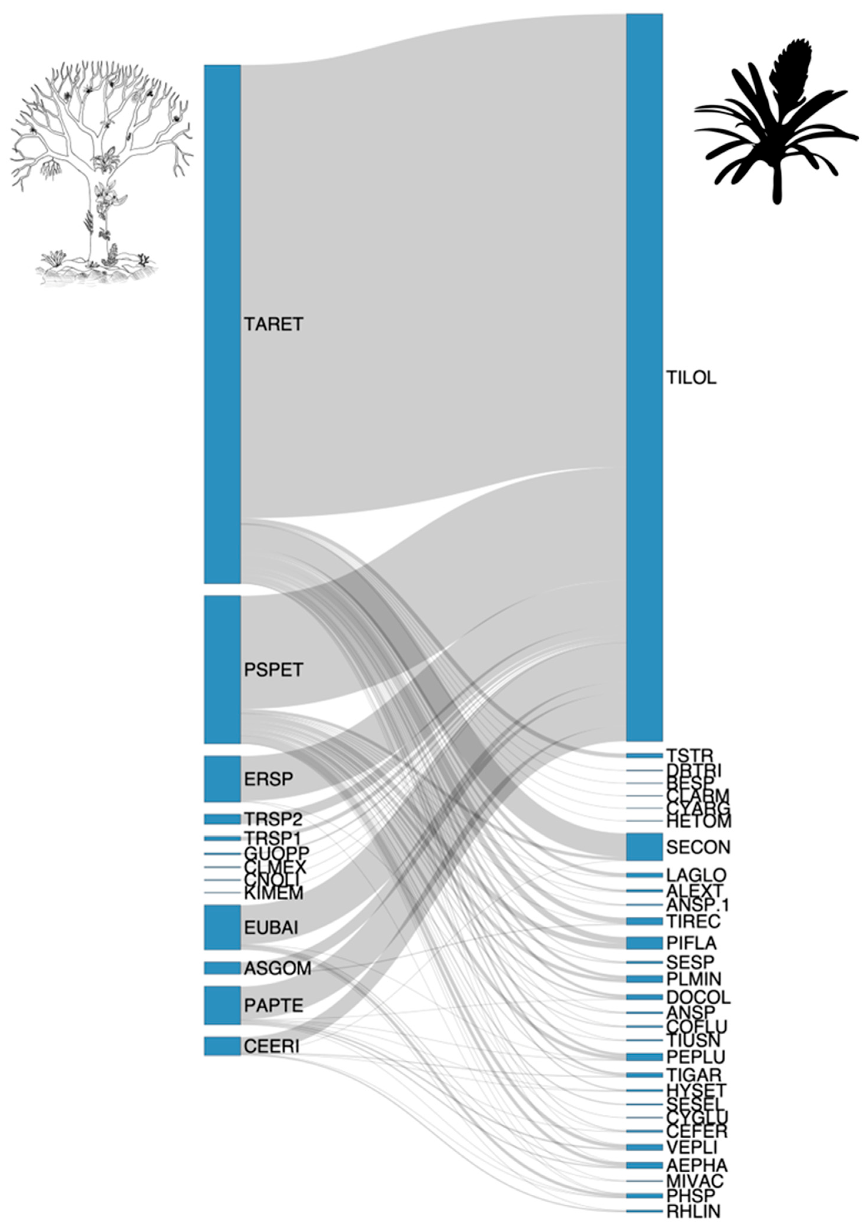 Forests 16 01300 g003