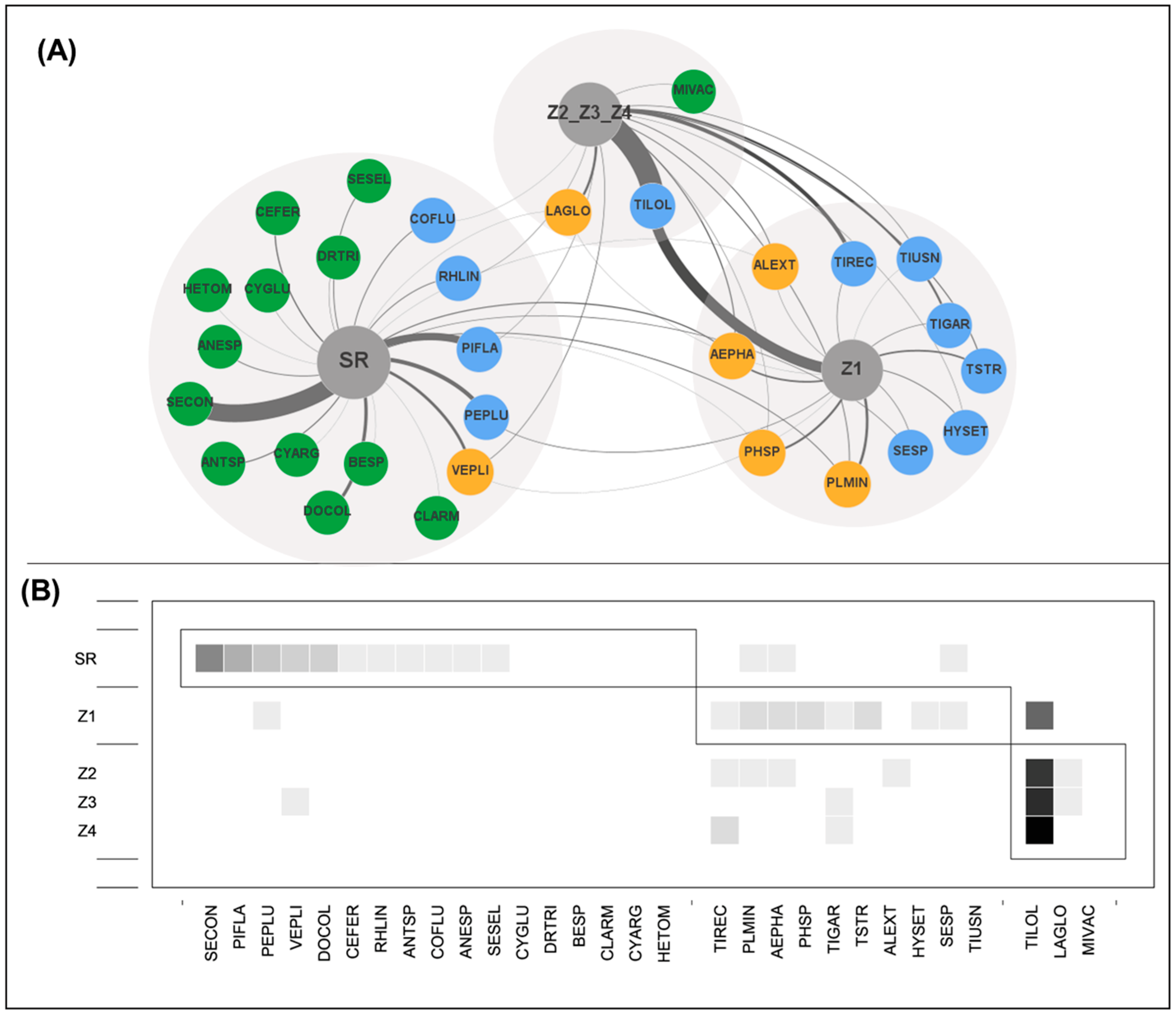 Forests 16 01300 g004