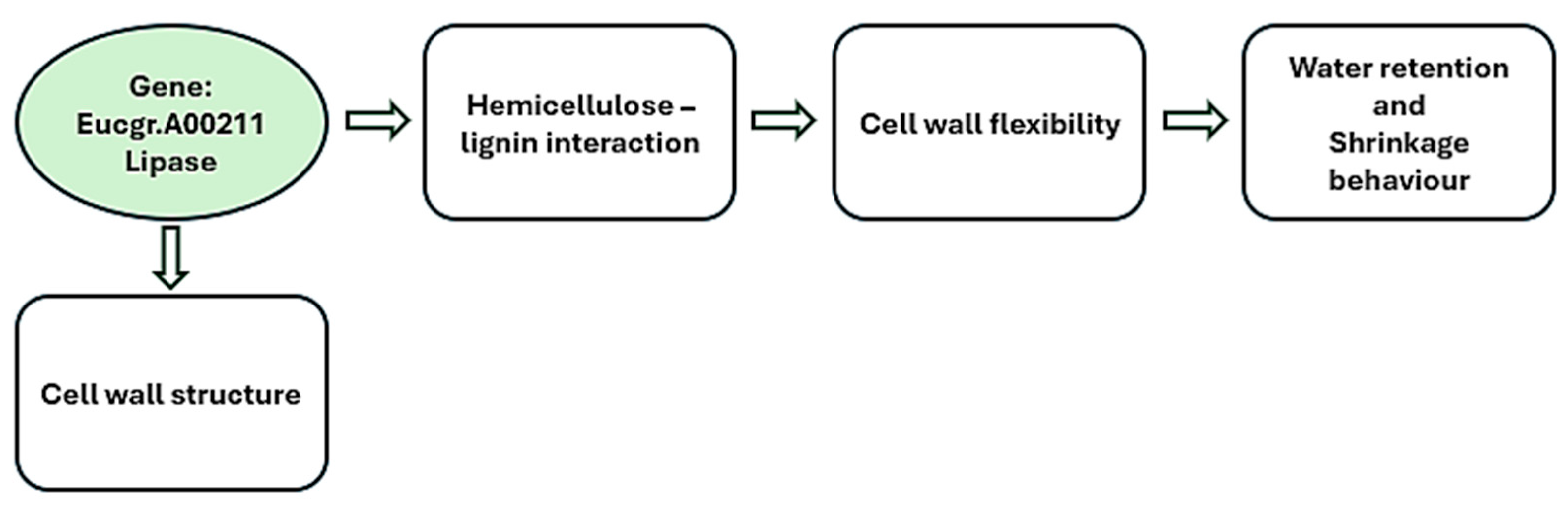 Forests 16 01301 g006