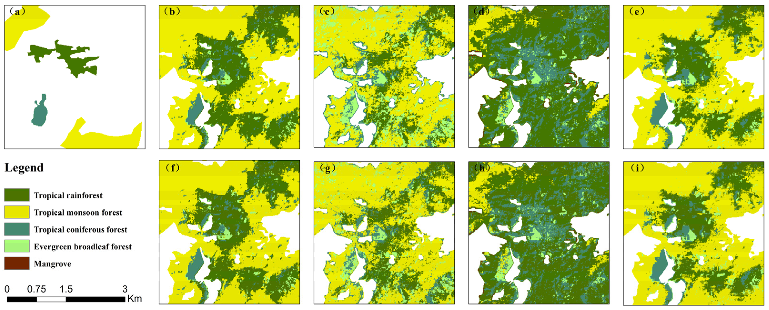 Forests 16 01302 g012 Forests 16 01302 g012