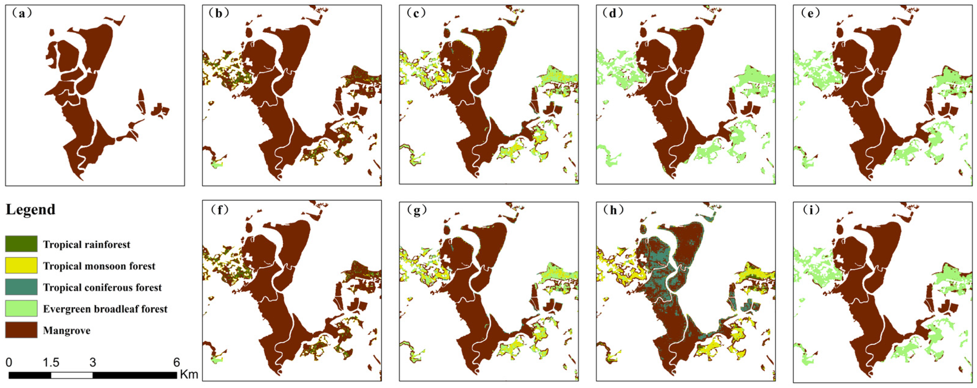 Forests 16 01302 g013 Forests 16 01302 g013
