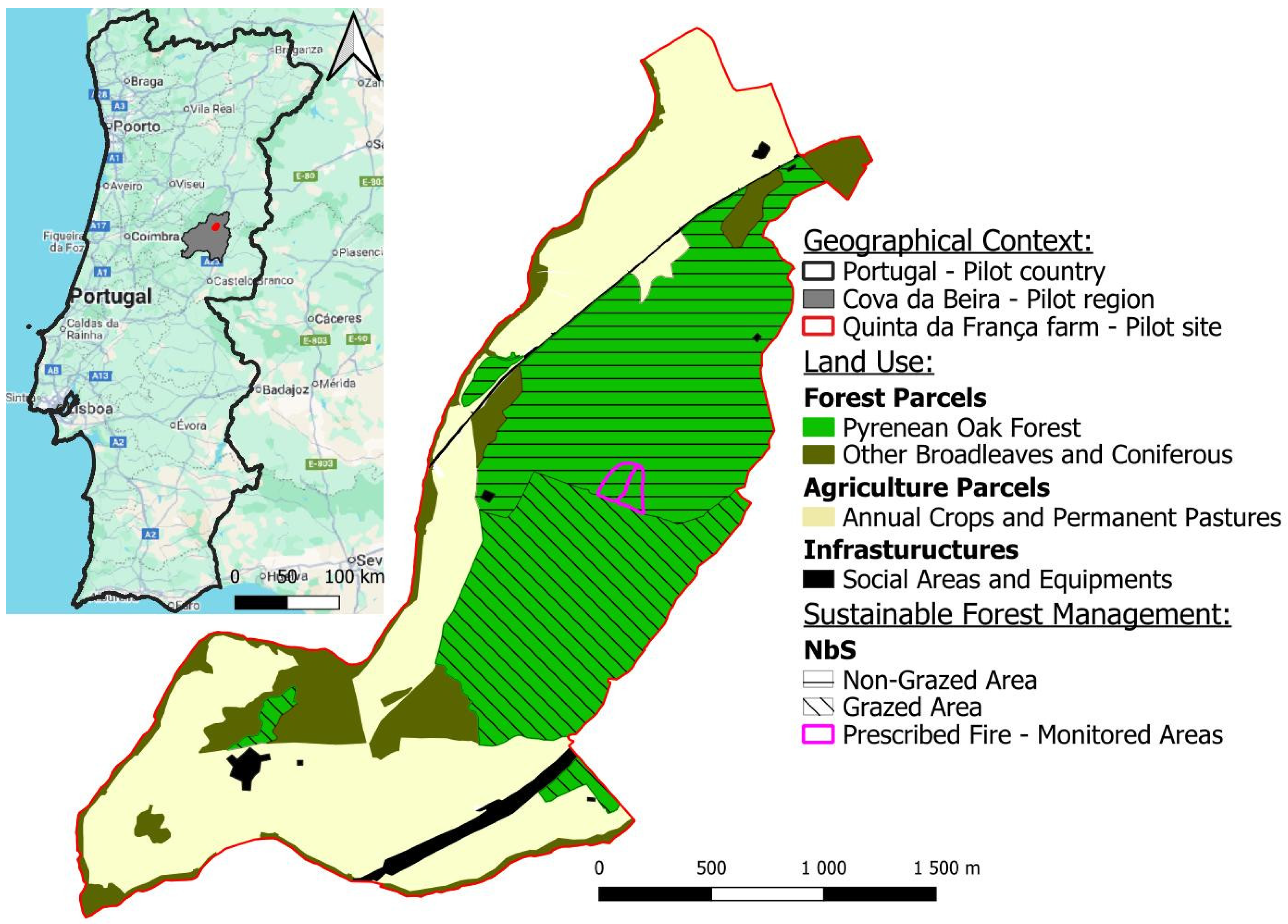 Forests 16 01306 g001 Forests 16 01306 g001
