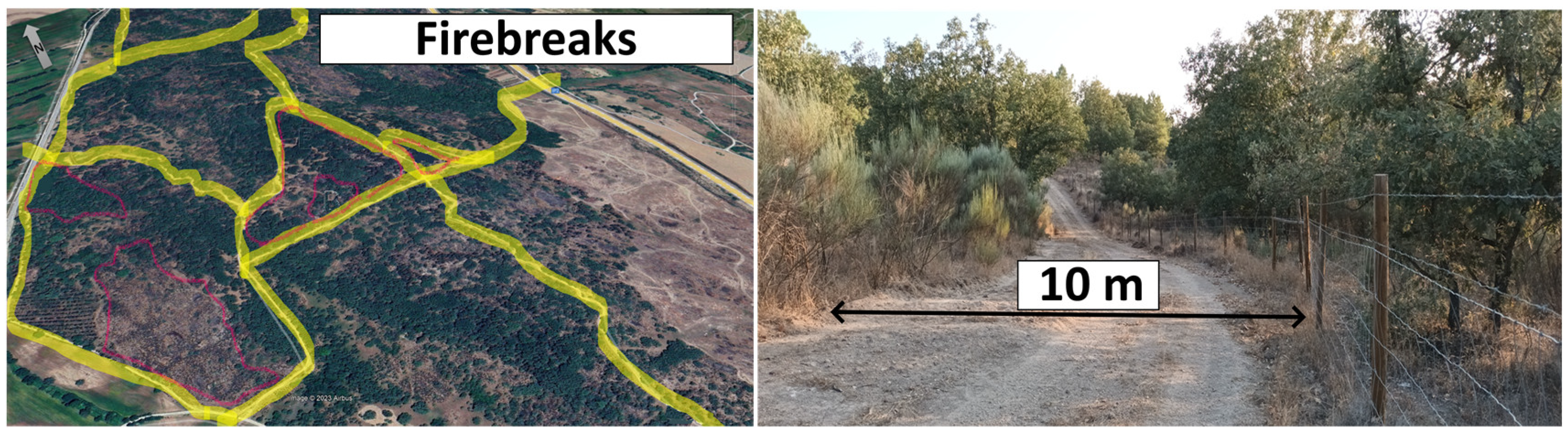 Forests 16 01306 g004 Forests 16 01306 g004