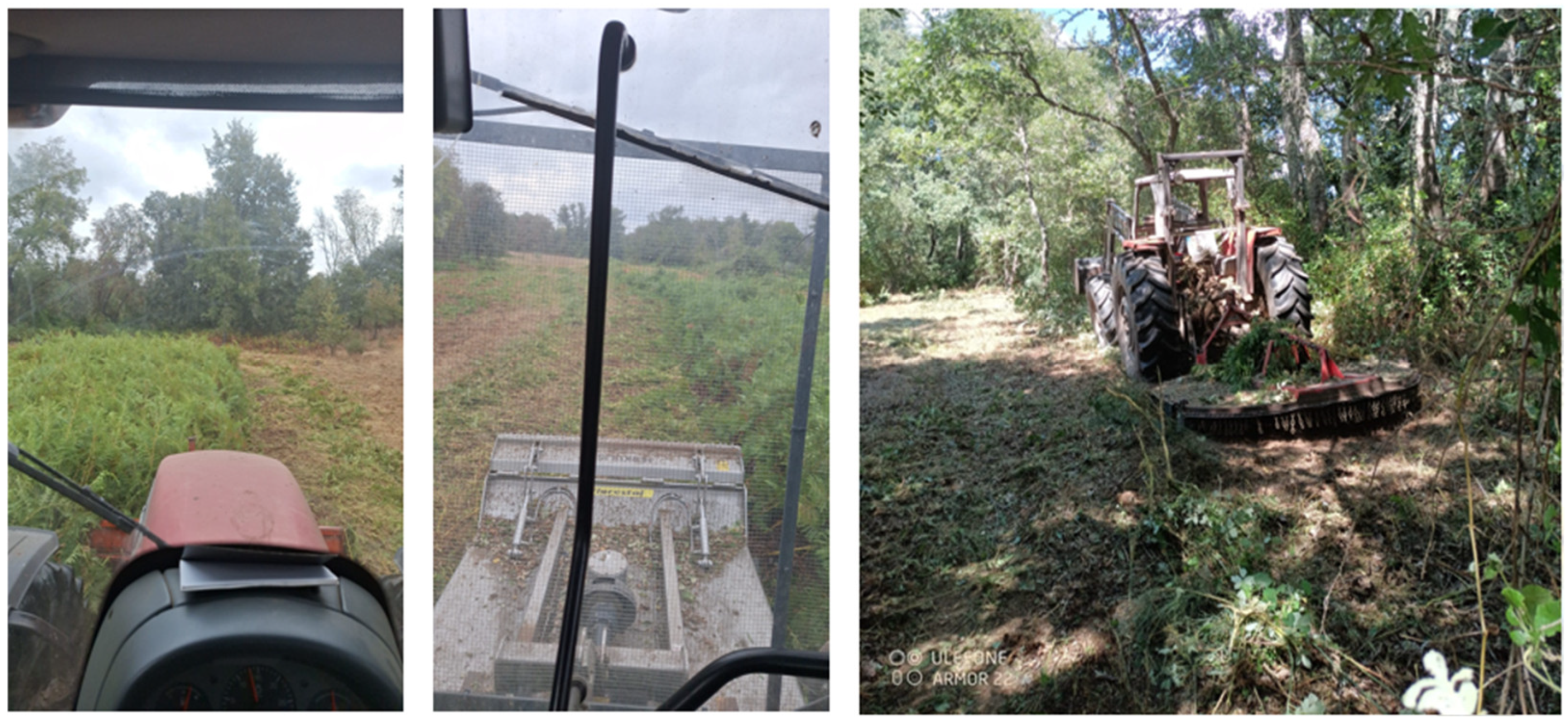 Forests 16 01306 g005 Forests 16 01306 g005