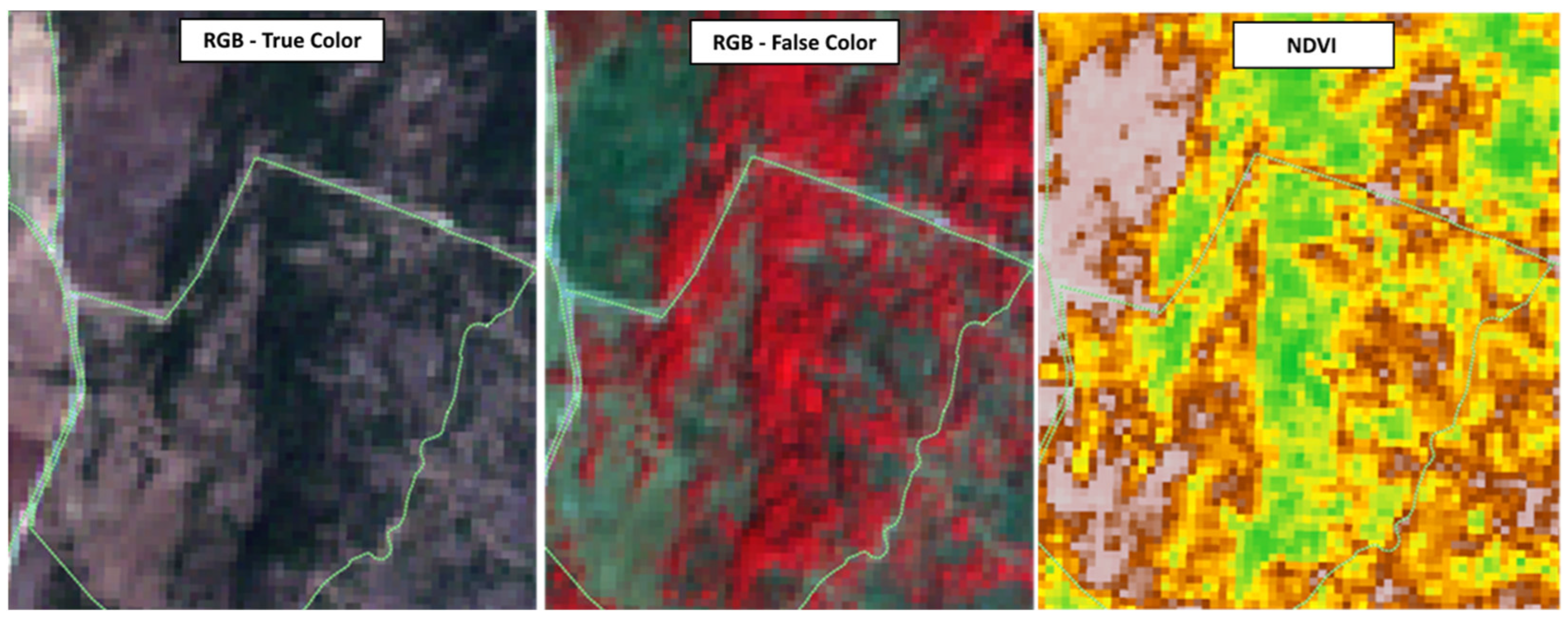Forests 16 01306 g012 Forests 16 01306 g012