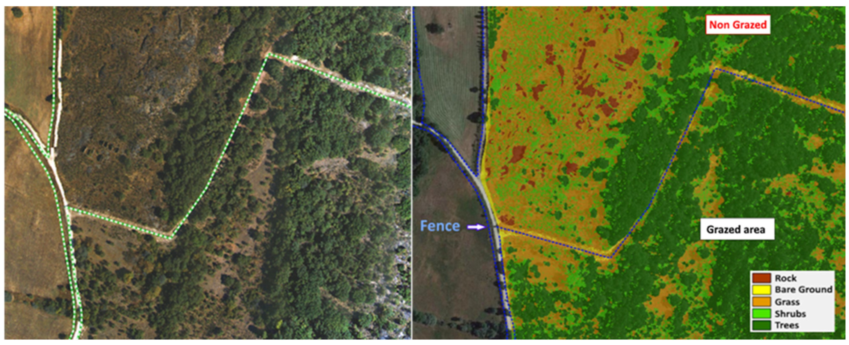 Forests 16 01306 g013 Forests 16 01306 g013