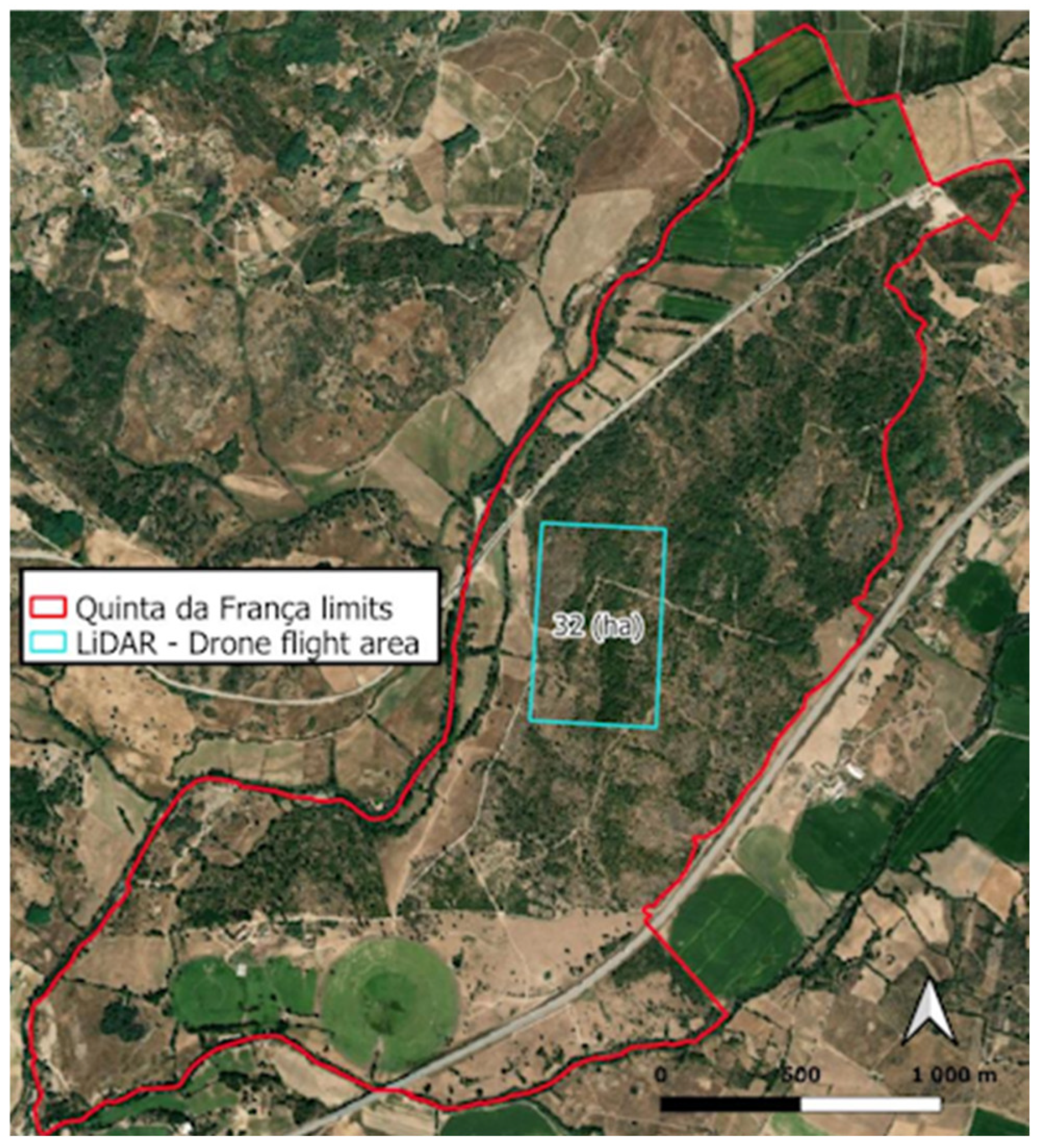 Forests 16 01306 g015 Forests 16 01306 g015