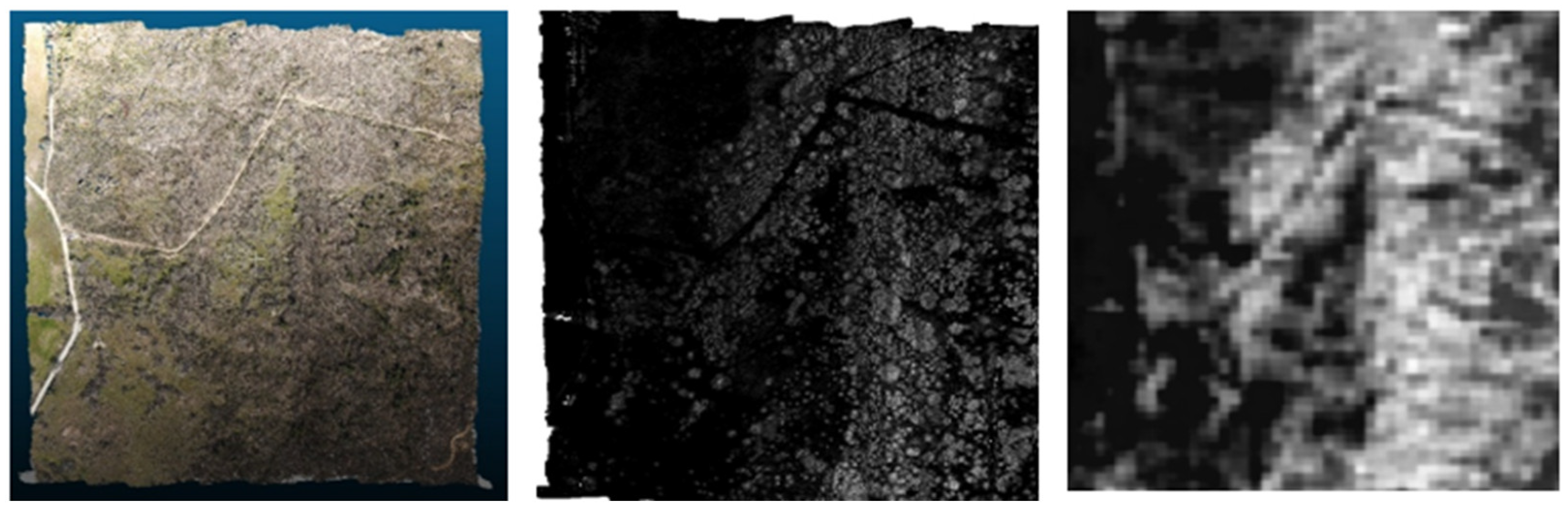 Forests 16 01306 g016 Forests 16 01306 g016